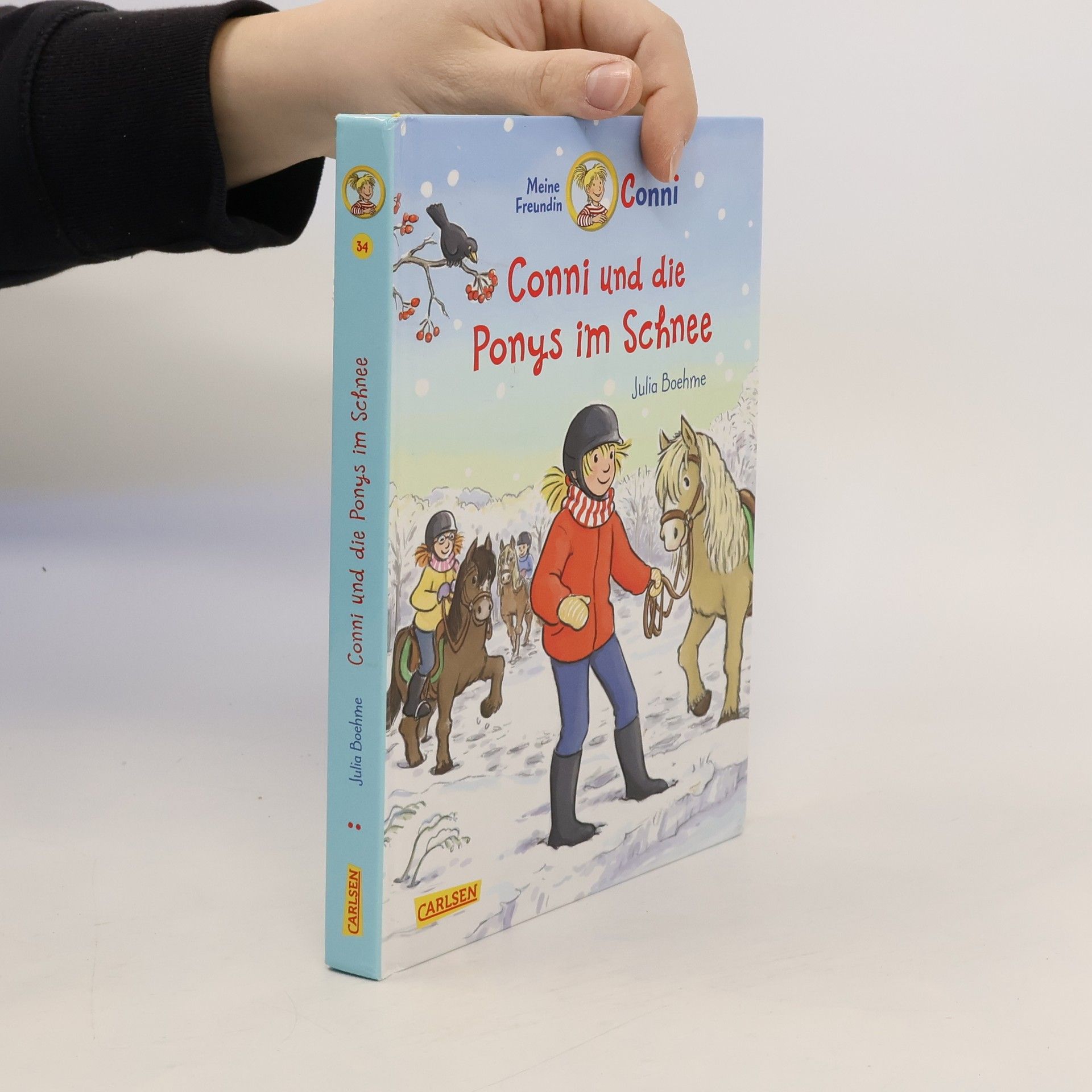 Julia Boehme Conni und die Ponys im Schnee