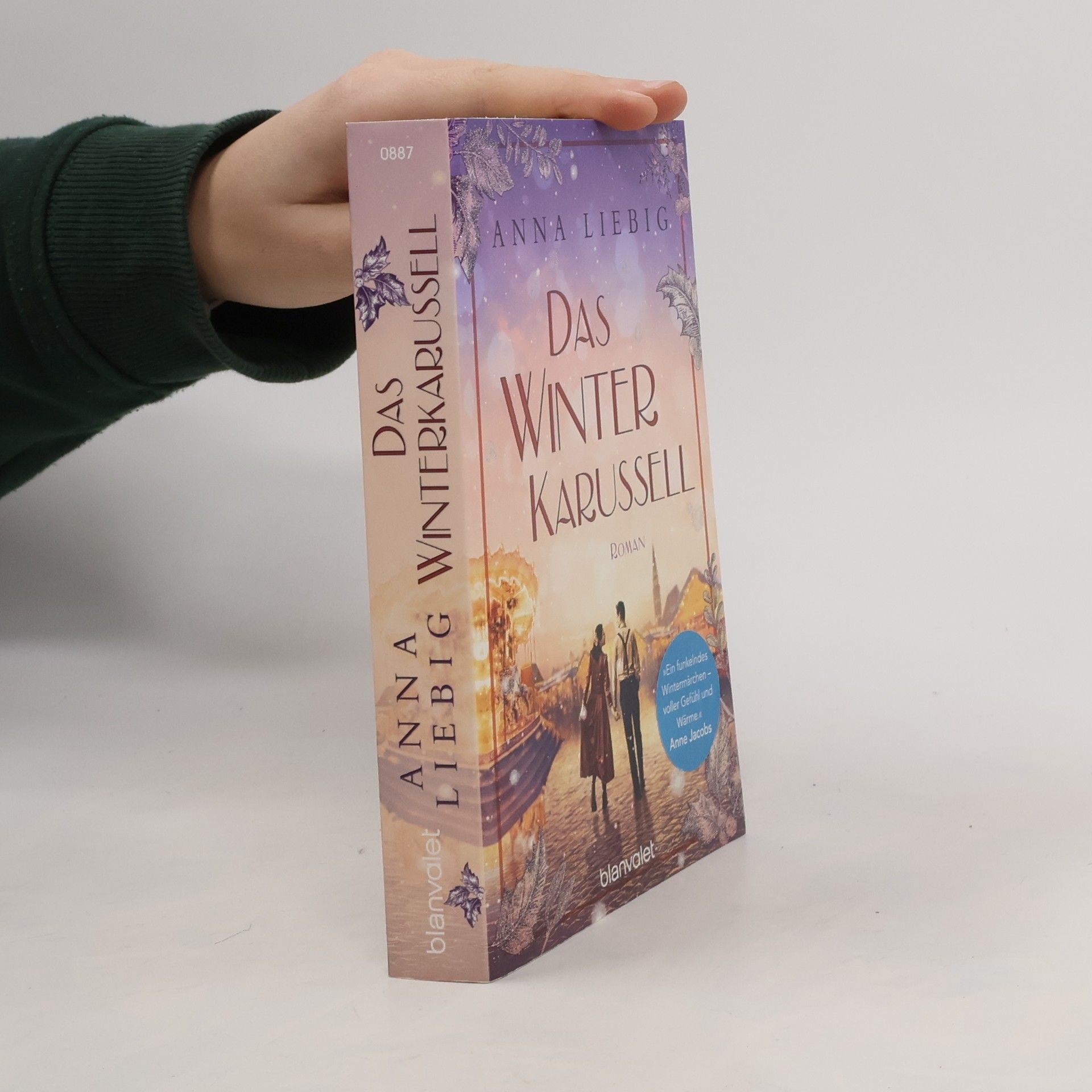 Anna Liebig Das winter karussell