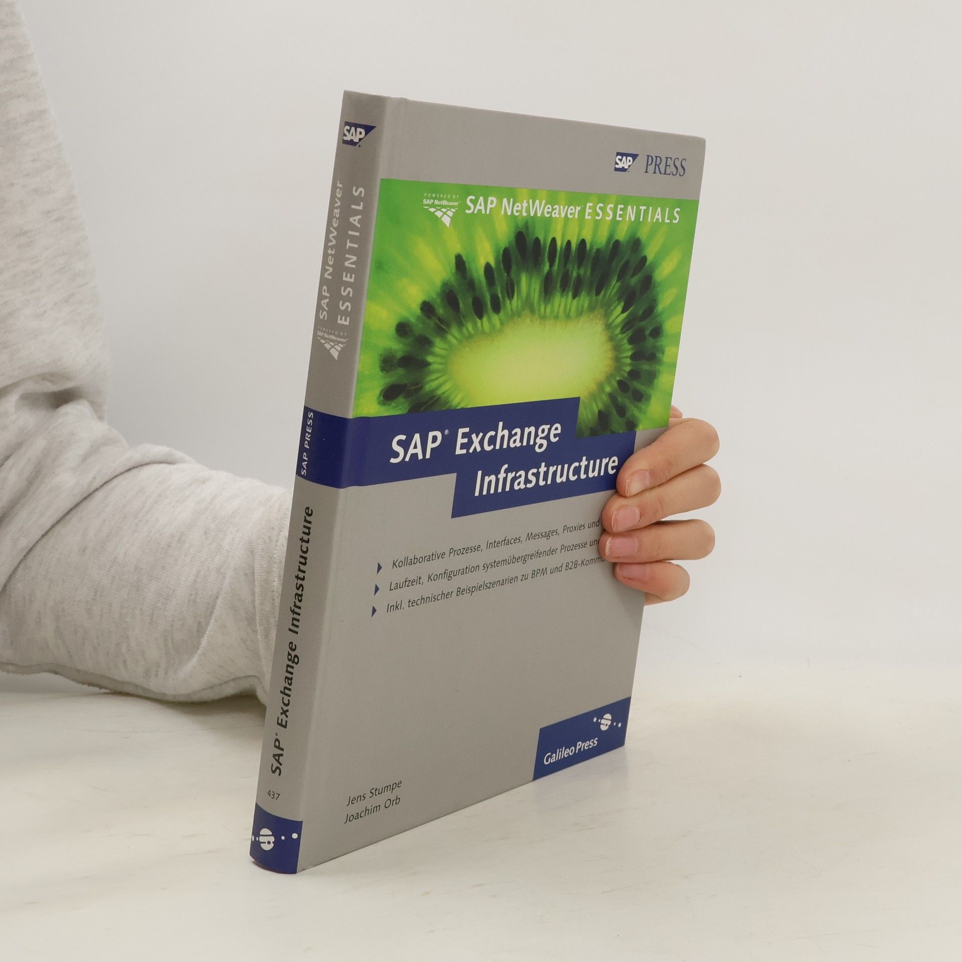 SAP Exchange Infrastructure