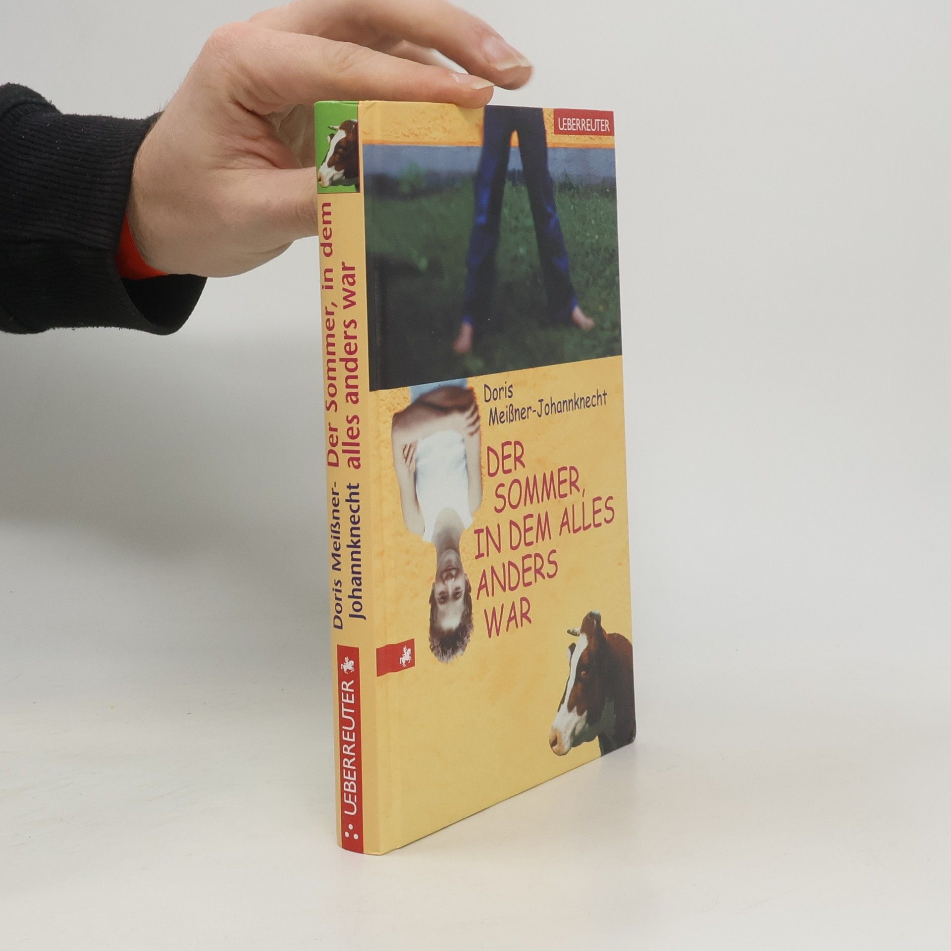 Doris Meißner Johannknecht Der Sommer, in dem alles anders war