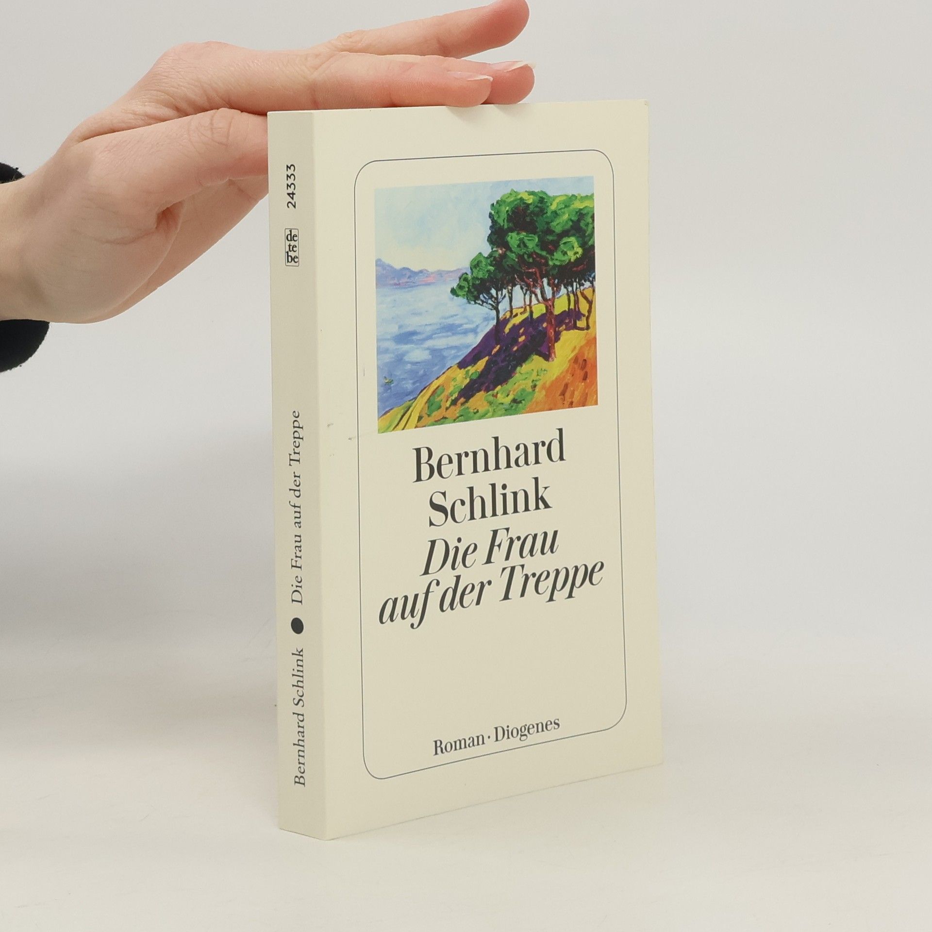 Bernhard Schlink Die Frau auf der Treppe