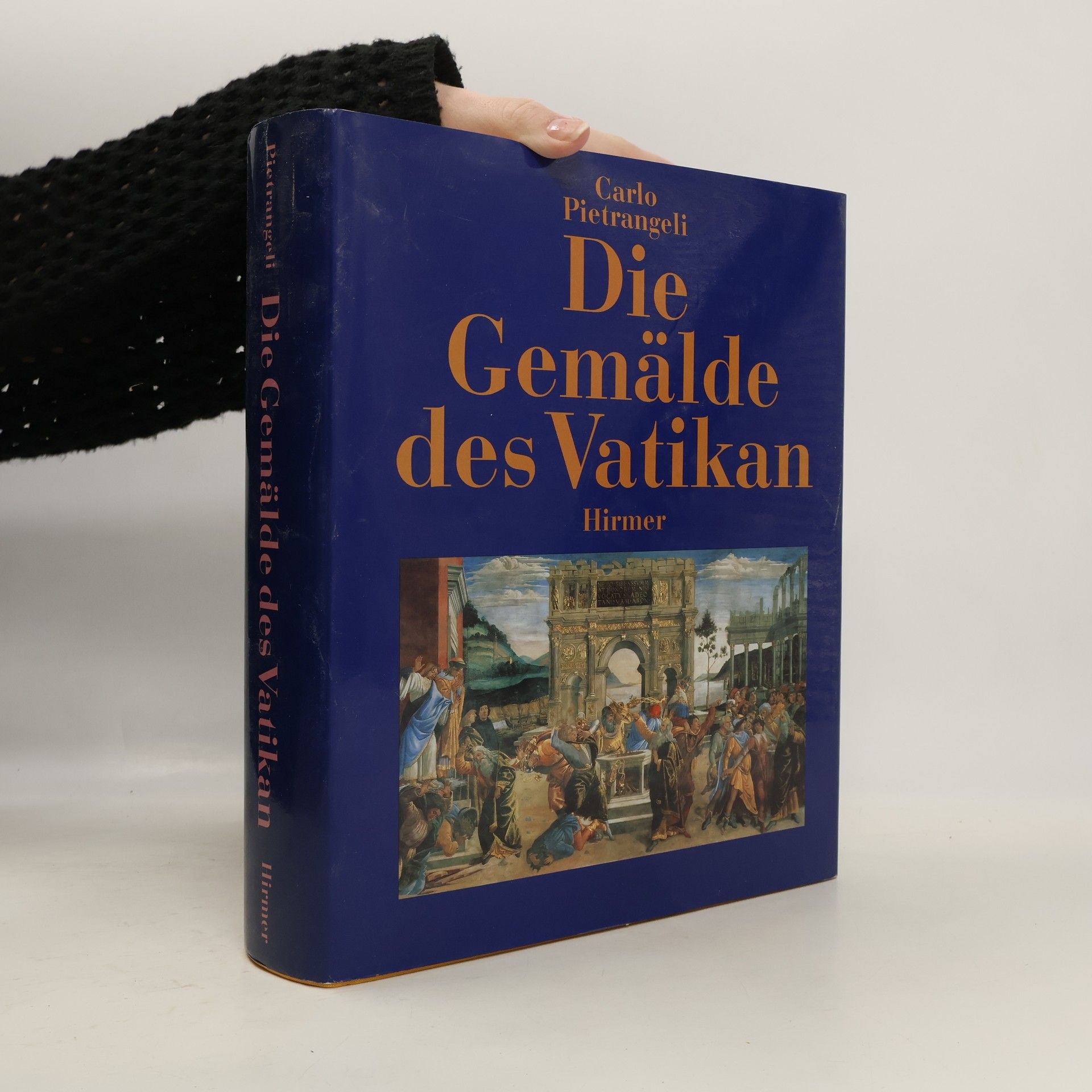 Carlo Pietrangeli Die Gemälde des Vatikan