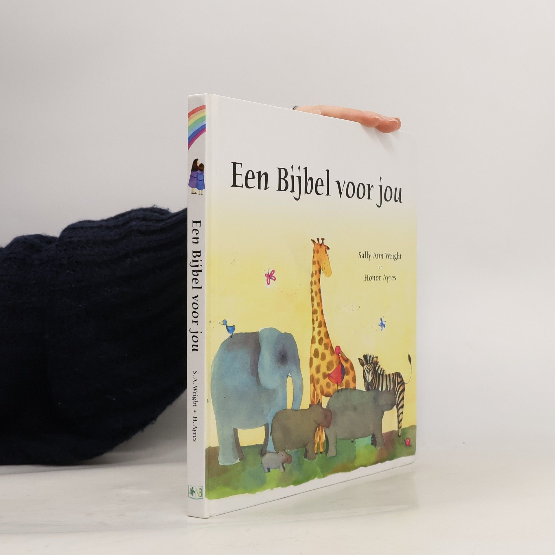 Sally Ann Wright Een Bijbel voor jou