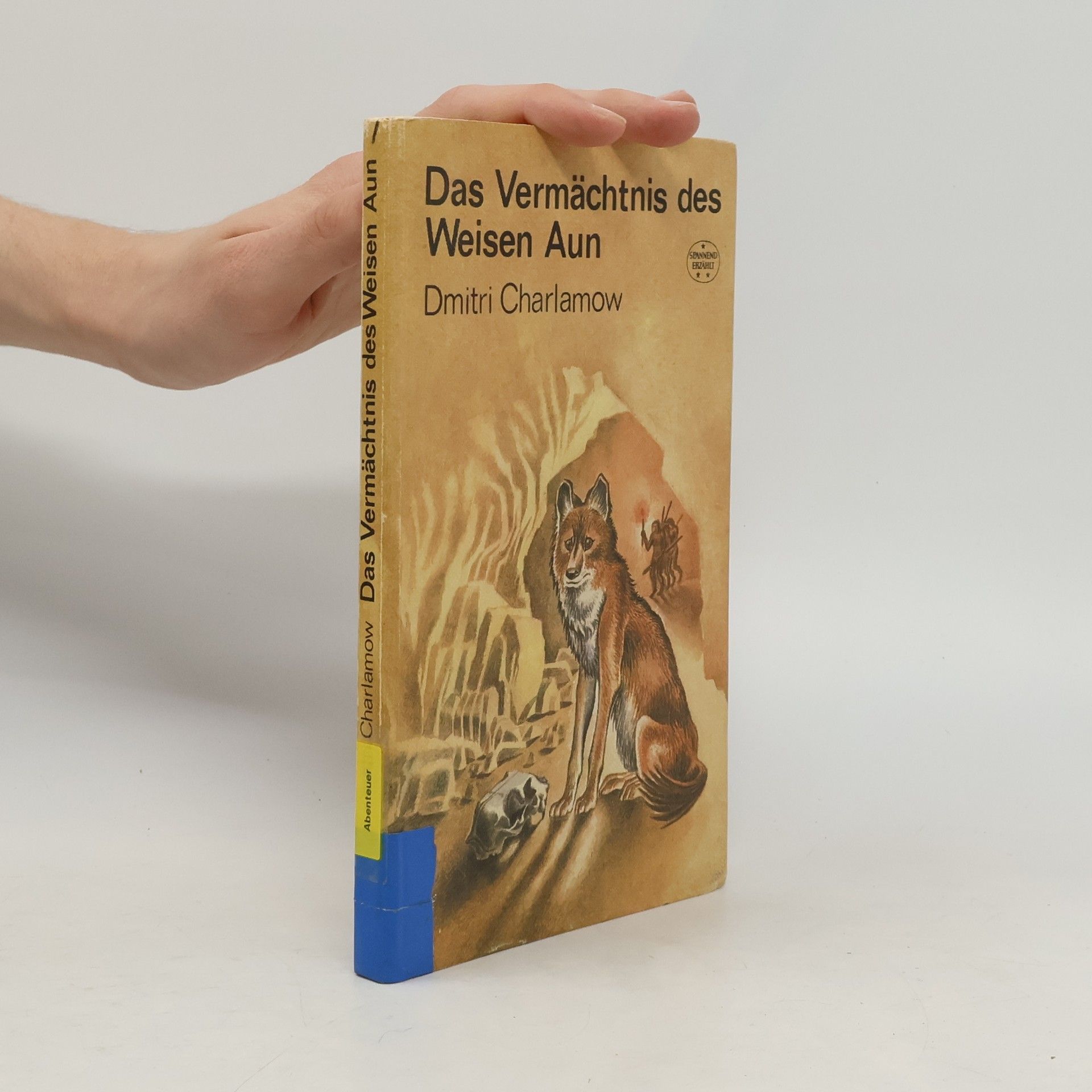 Das Vermächtnis des Weisen Aun