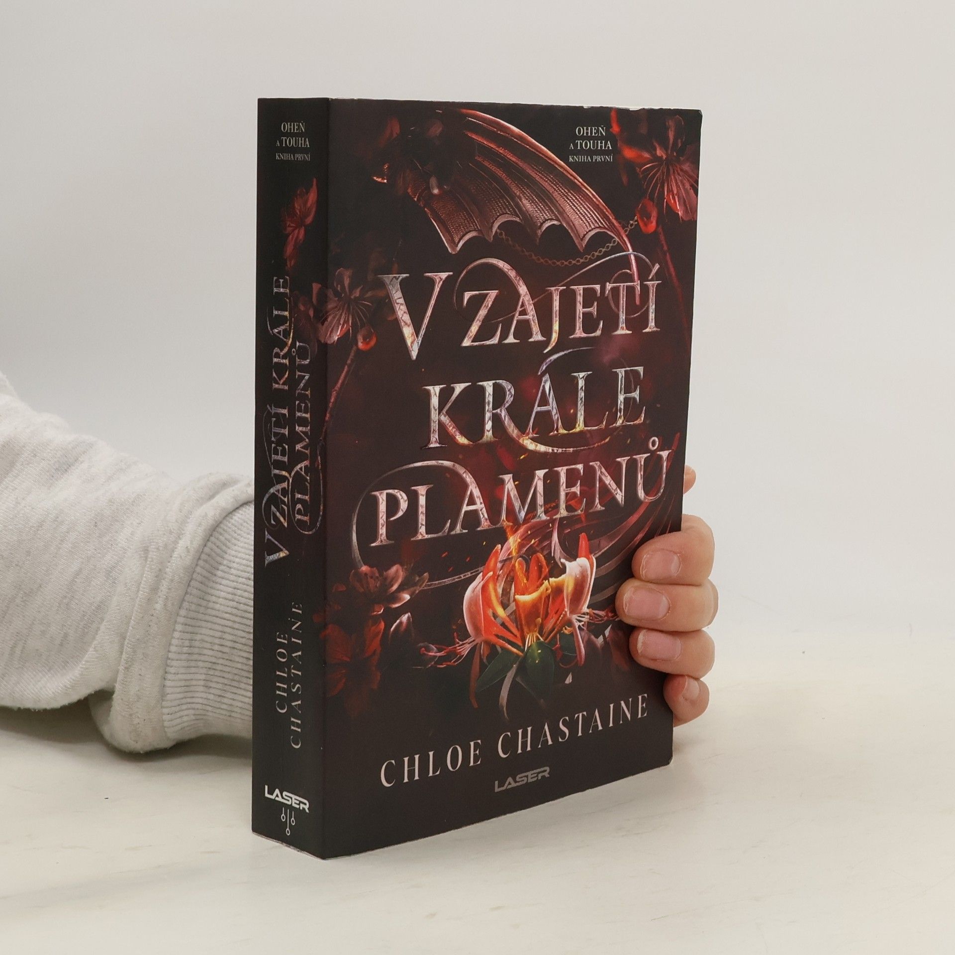 V zajetí krále plamenů