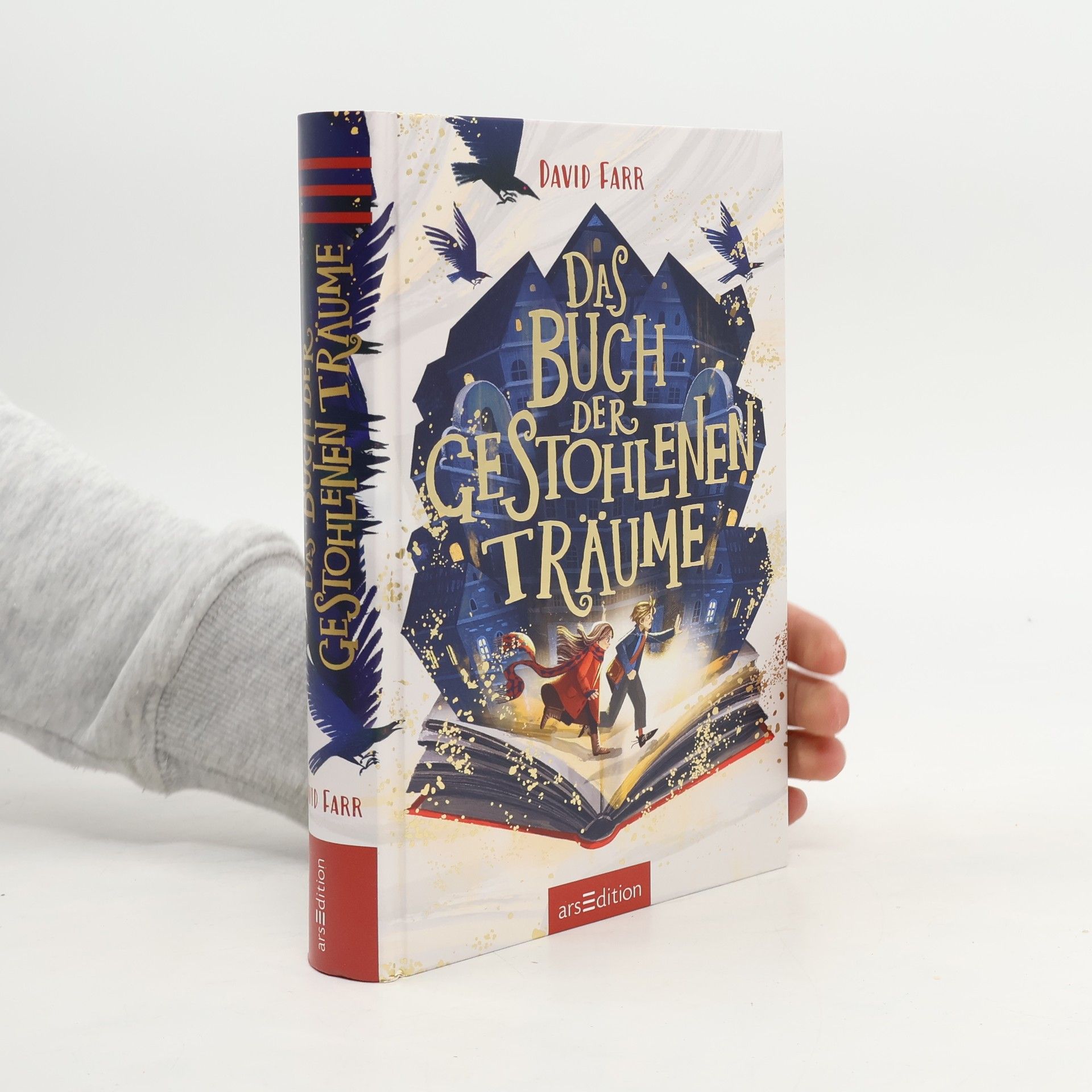 David Farr Das Buch der gestohlenen Träume