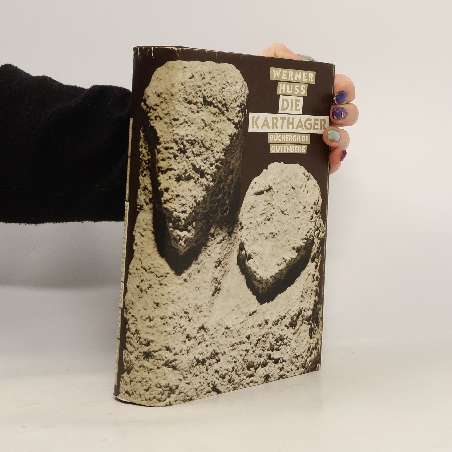 Werner Huß Die Karthager