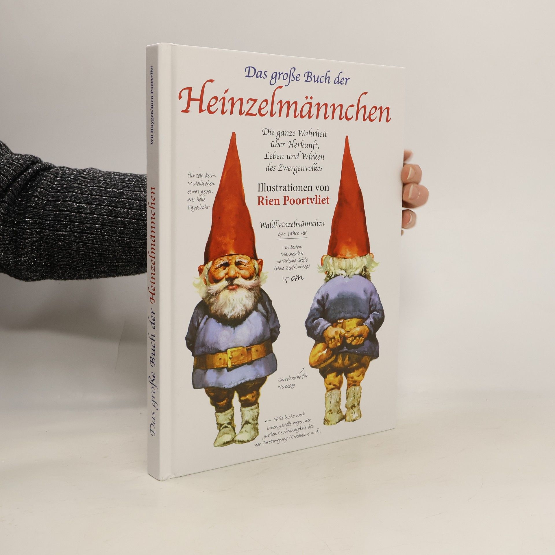 Collectif d'auteurs Das große Buch der Heinzelmännchen