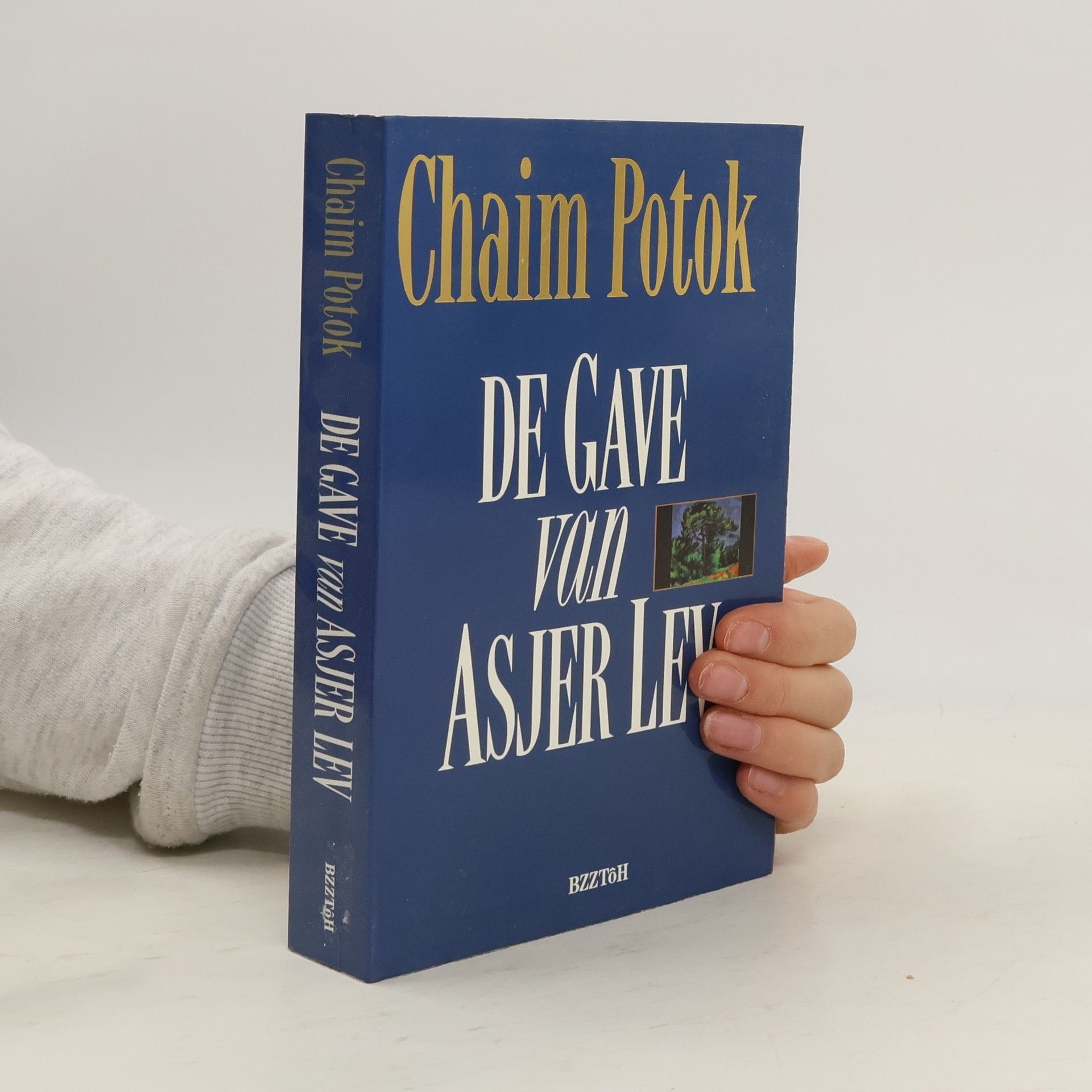 Chaim Potok De gave van Asjer Lev