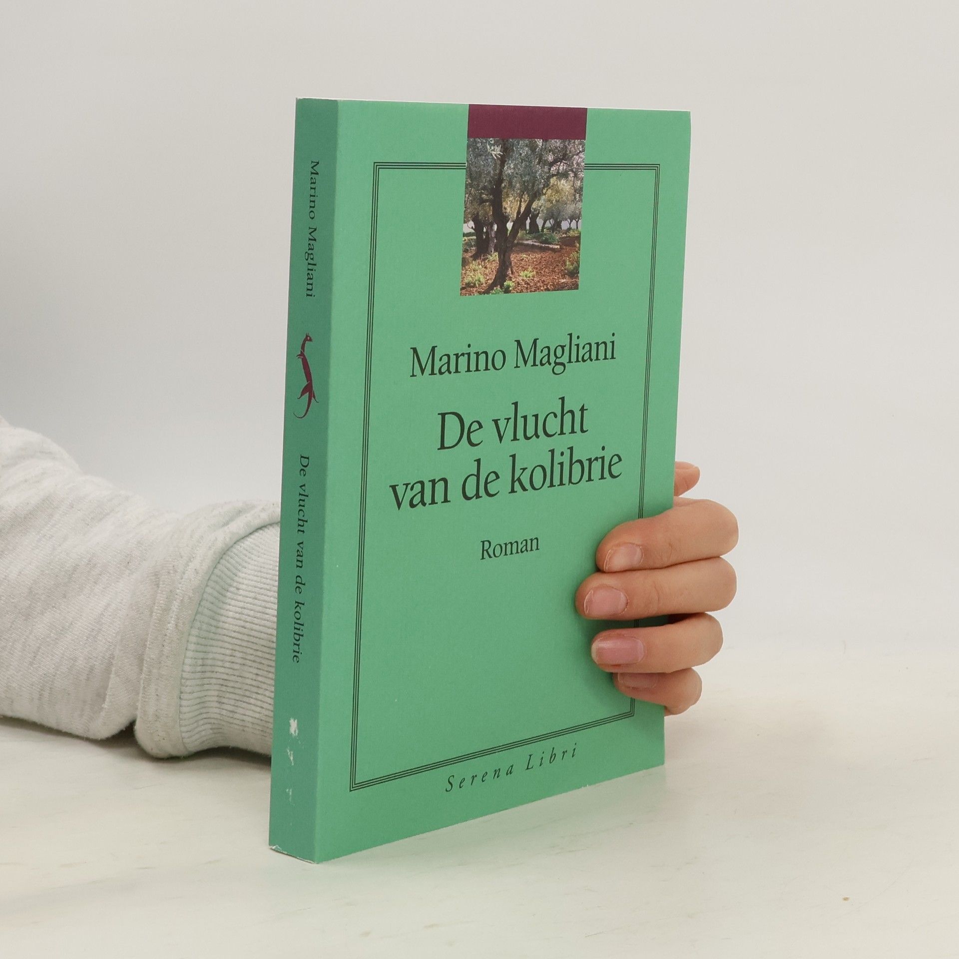 De vlucht van de kolibrie