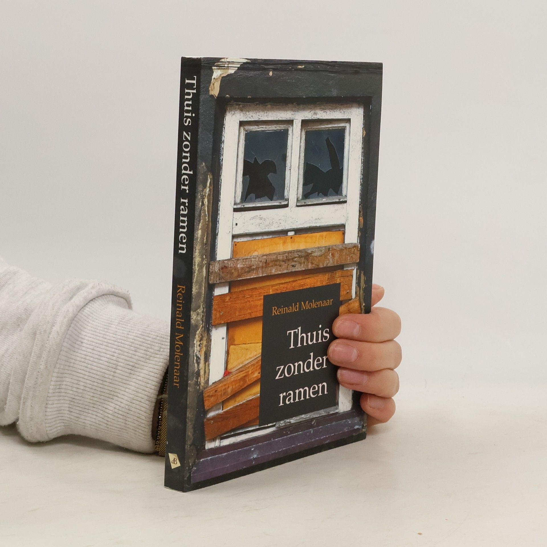 Reinald Molenaar Thuis zonder ramen