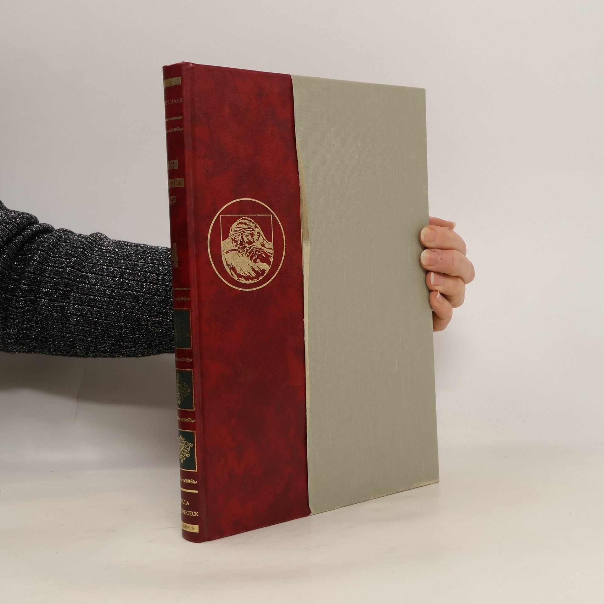 Geschiedenis van de lage landen. Deel 4