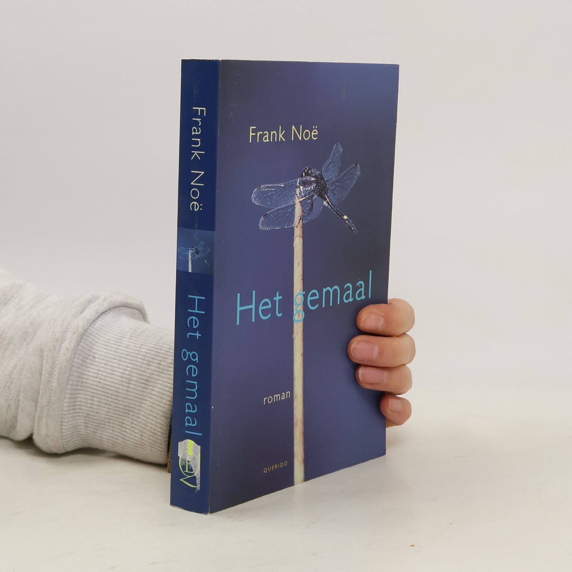 Frank Noë Het gemaal