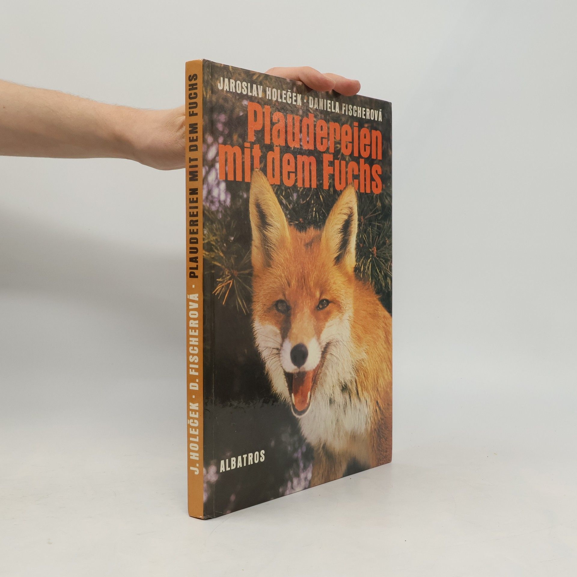 Plaudereien mit dem Fuchs