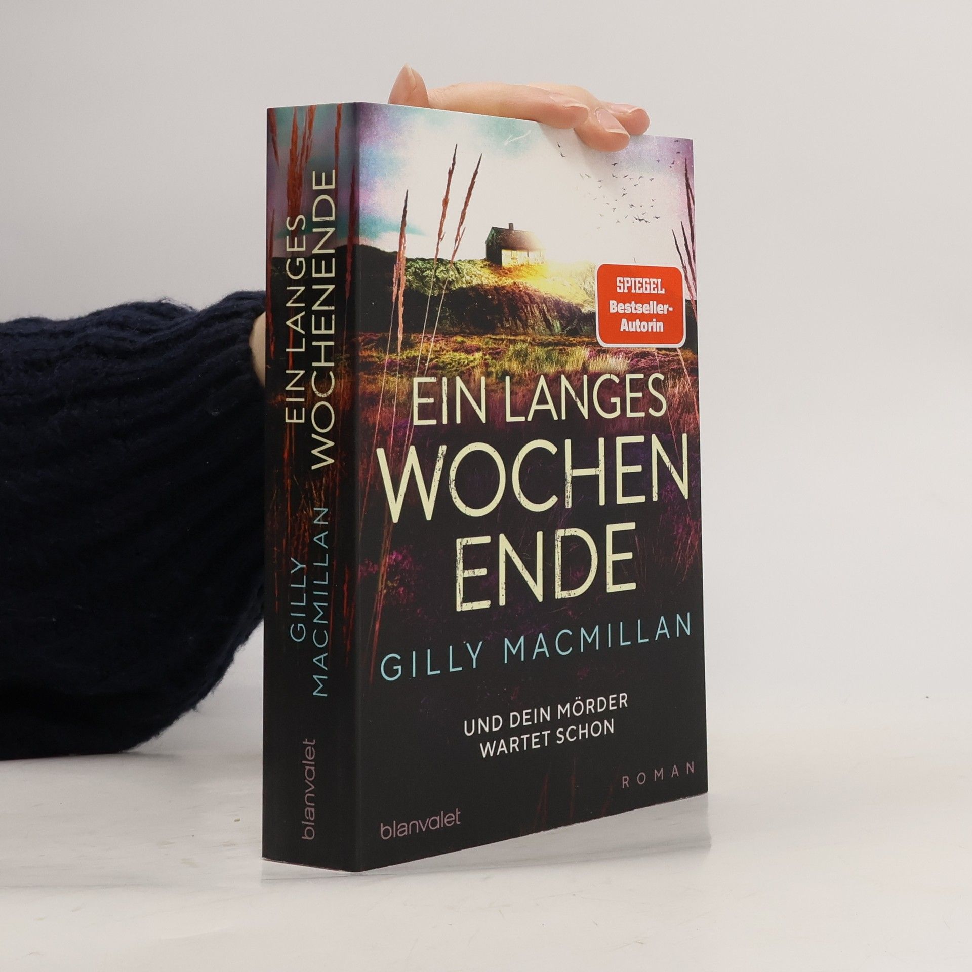 Gilly Macmillan Ein langes Wochenende