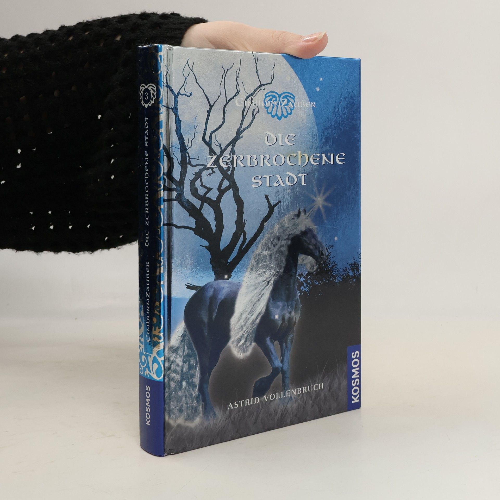 Astrid Vollenbruch Einhornzauber - Die zerbrochene Stadt
