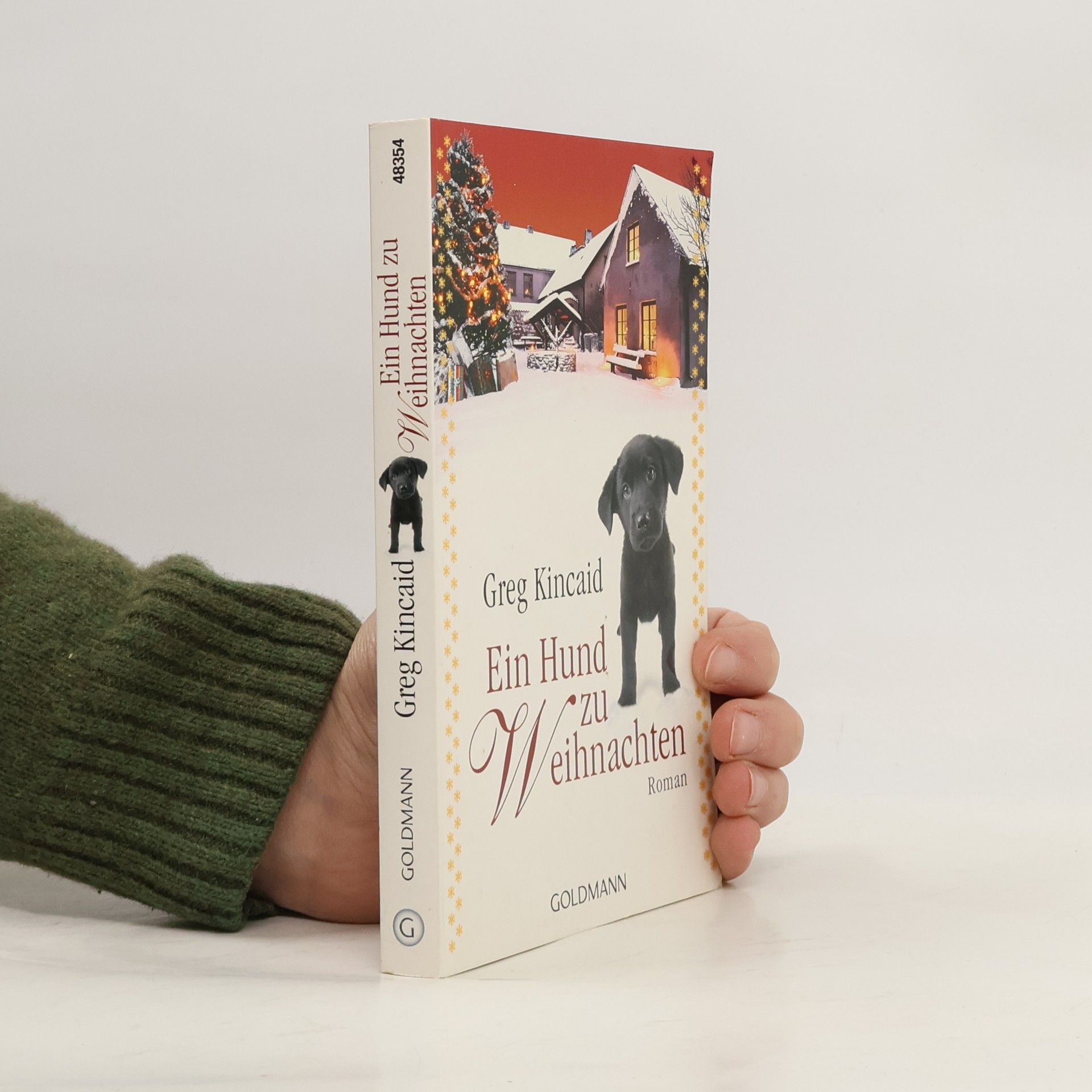 Greg Kincaid Ein Hund zu Weihnachten