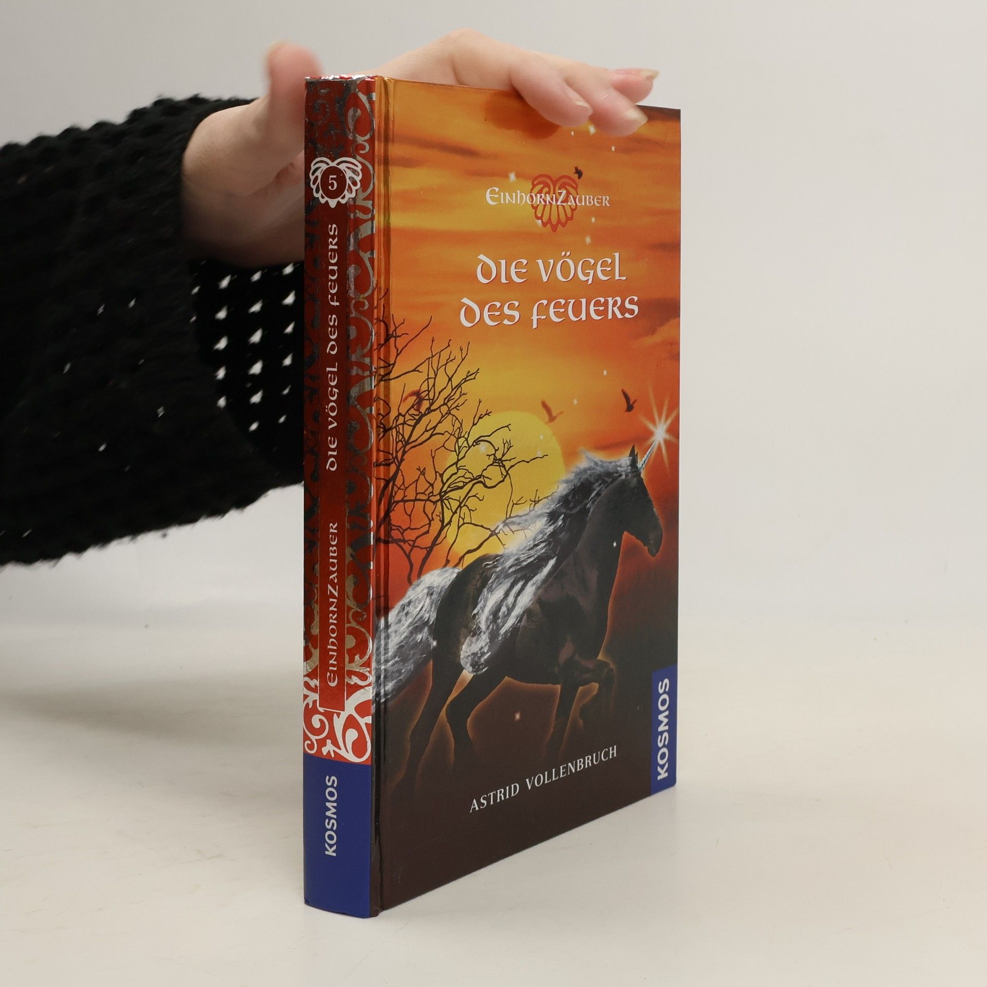 Astrid Vollenbruch Einhornzauber 5. Die Vögel des Feuers