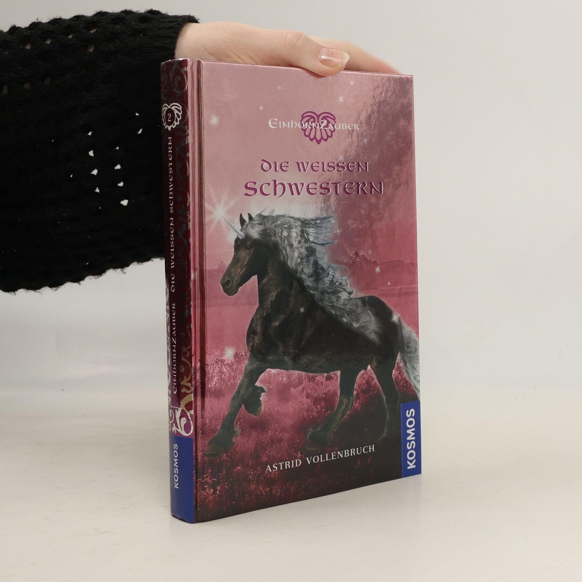 Astrid Vollenbruch Die weißen Schwestern