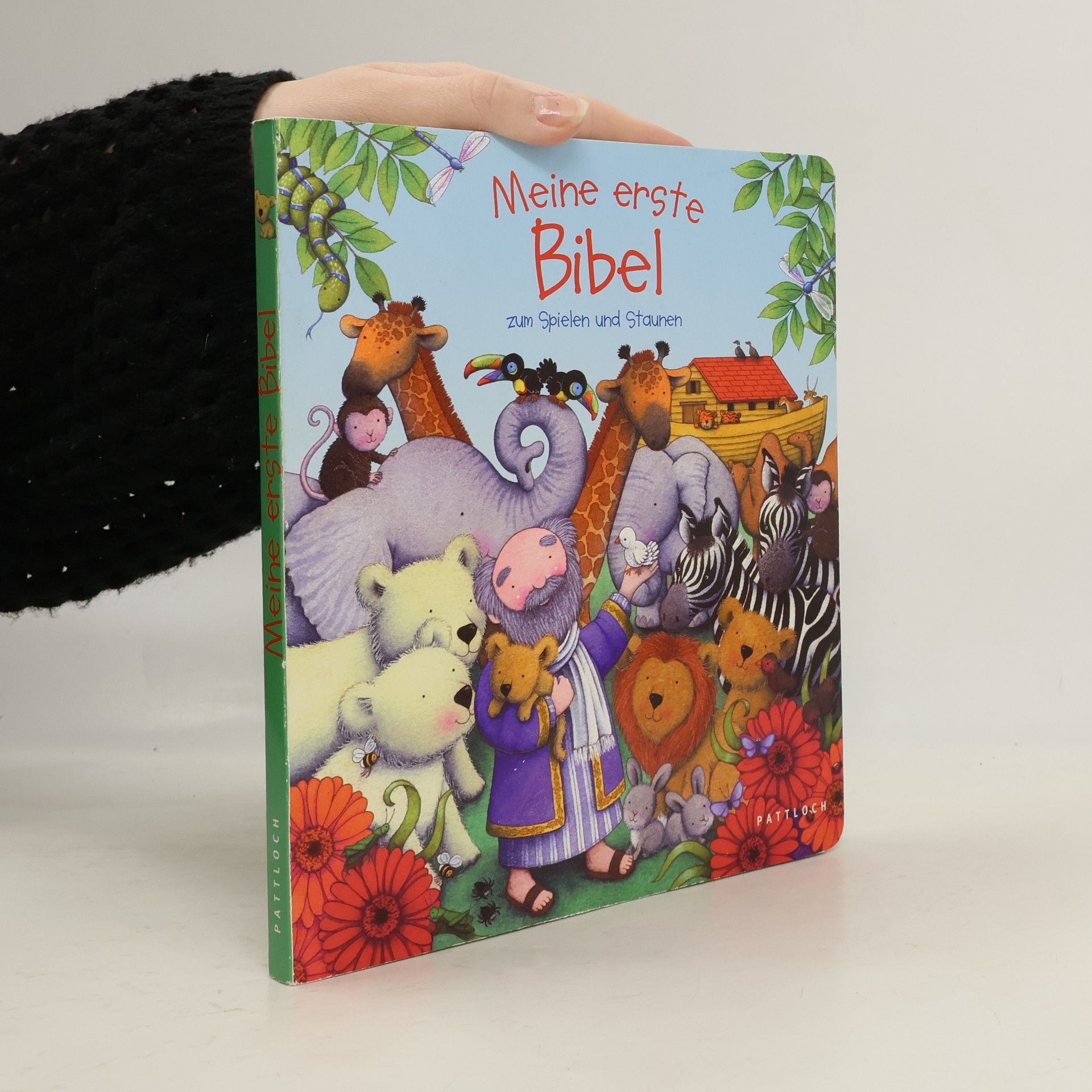 Jill Roman Lord Meine erste Bibel