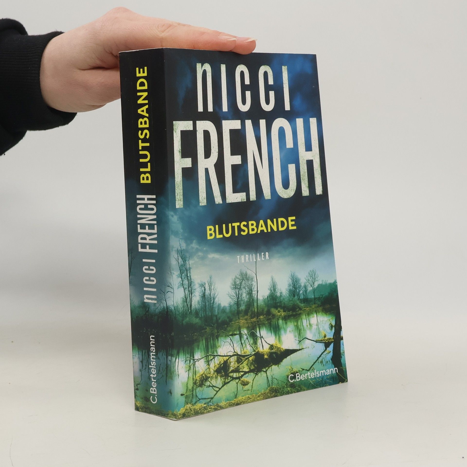 Nicci French Blutsbande