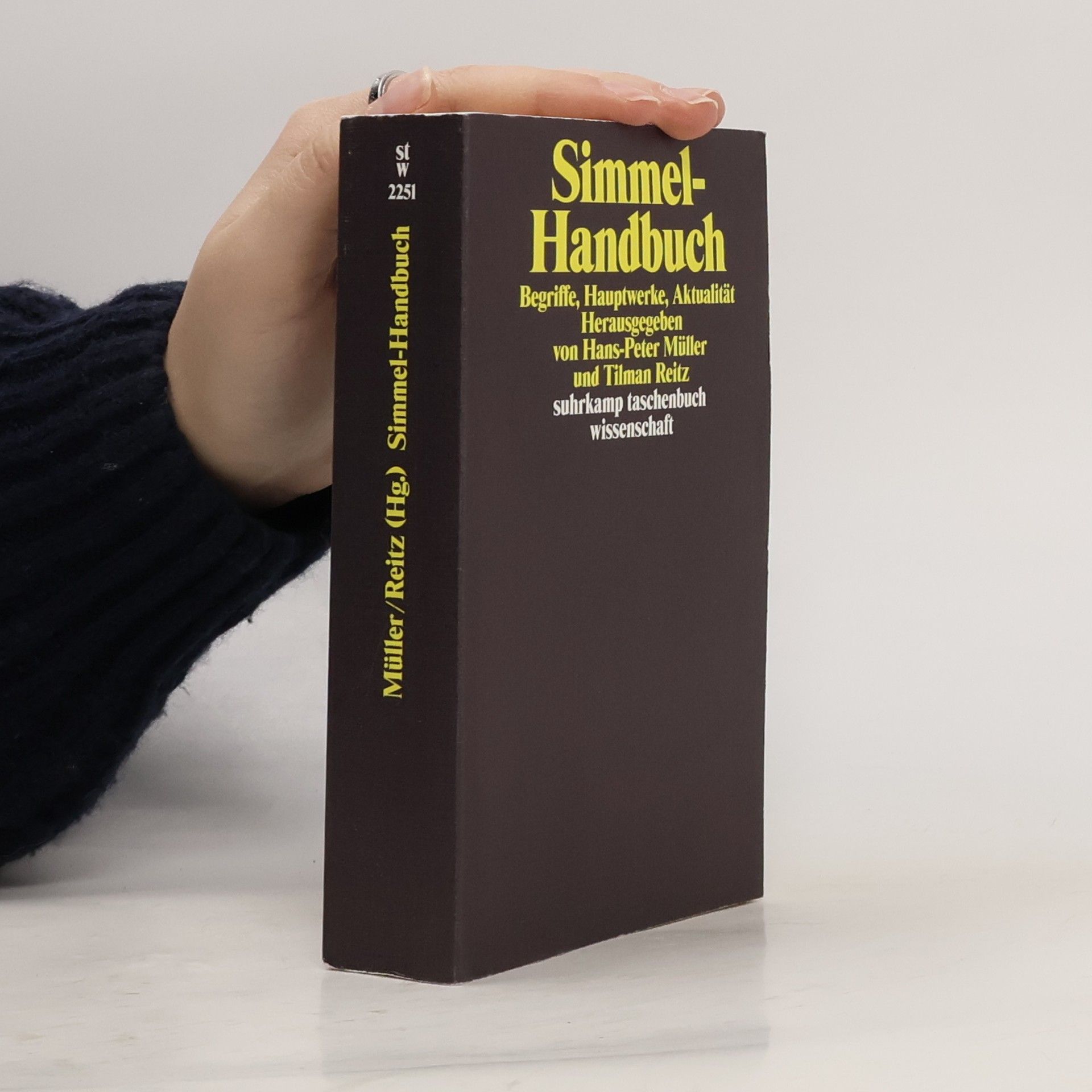Simmel-Handbuch