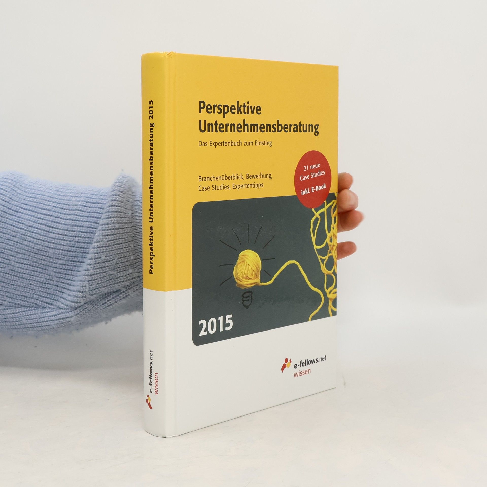 Perspektive Unternehmensberatung 2015