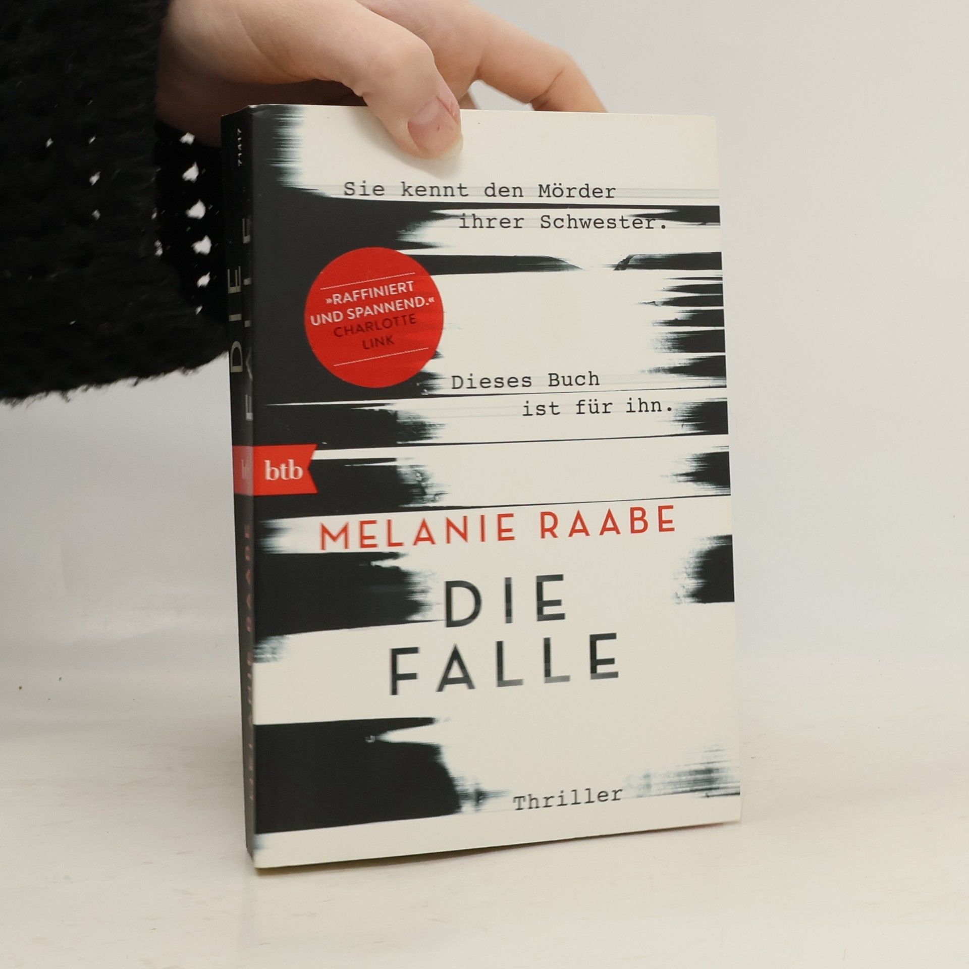 Melanie Raabe Die Falle
