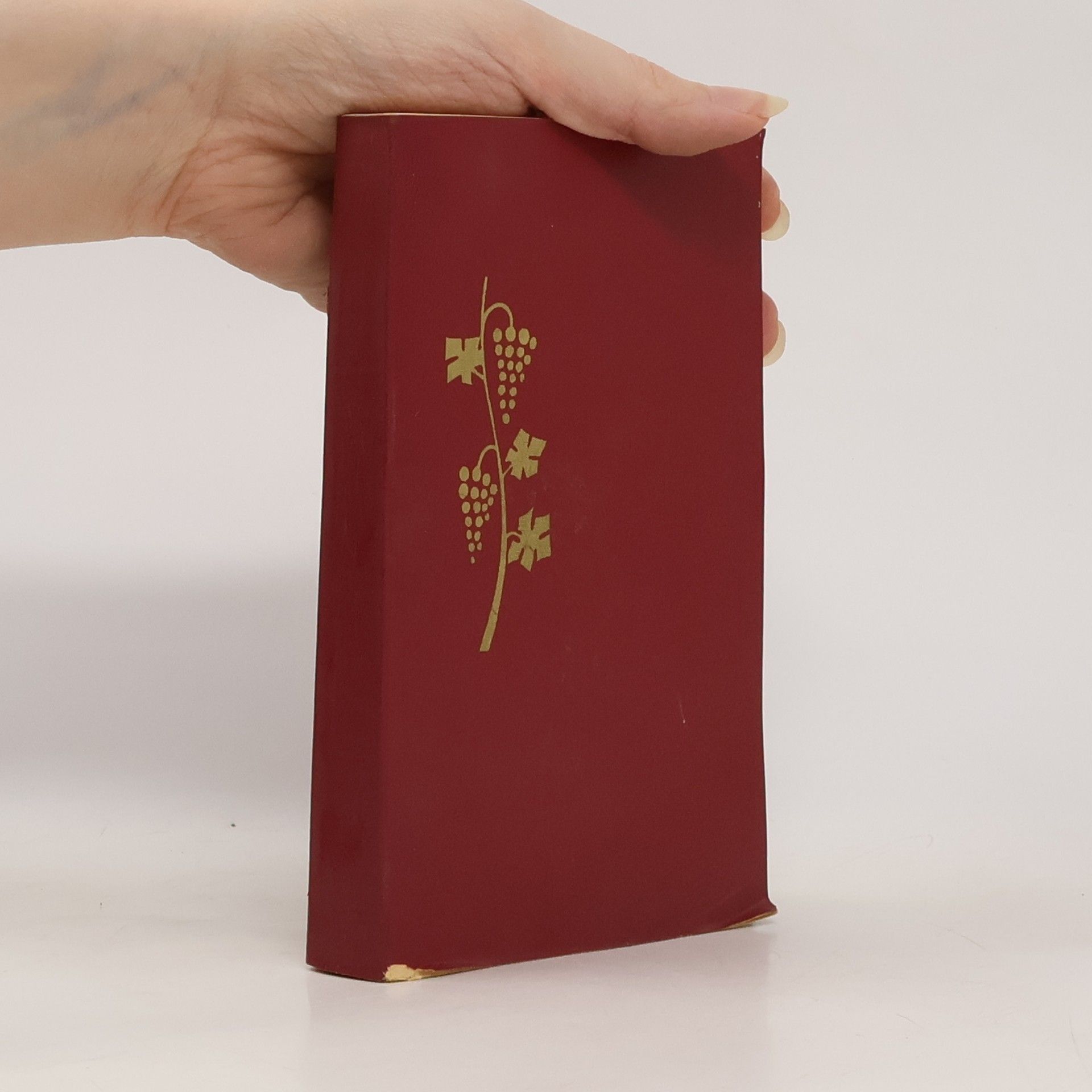 Jakob Schäfer Die Heilige Schrift des Neuen Bundes