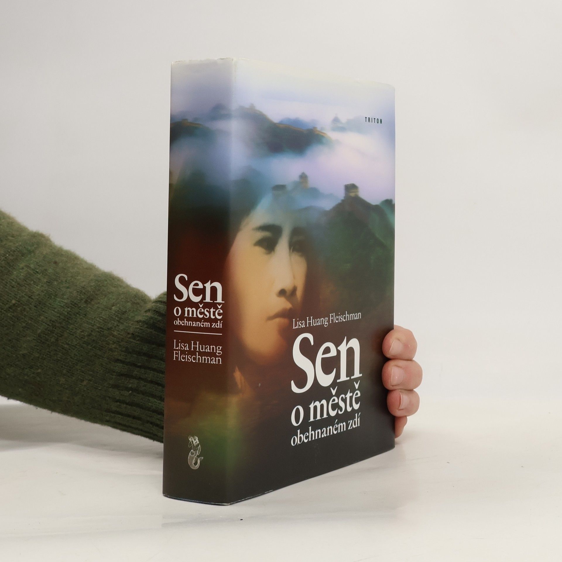 Lisa Huang Fleischman Sen o městě obehnaném zdí