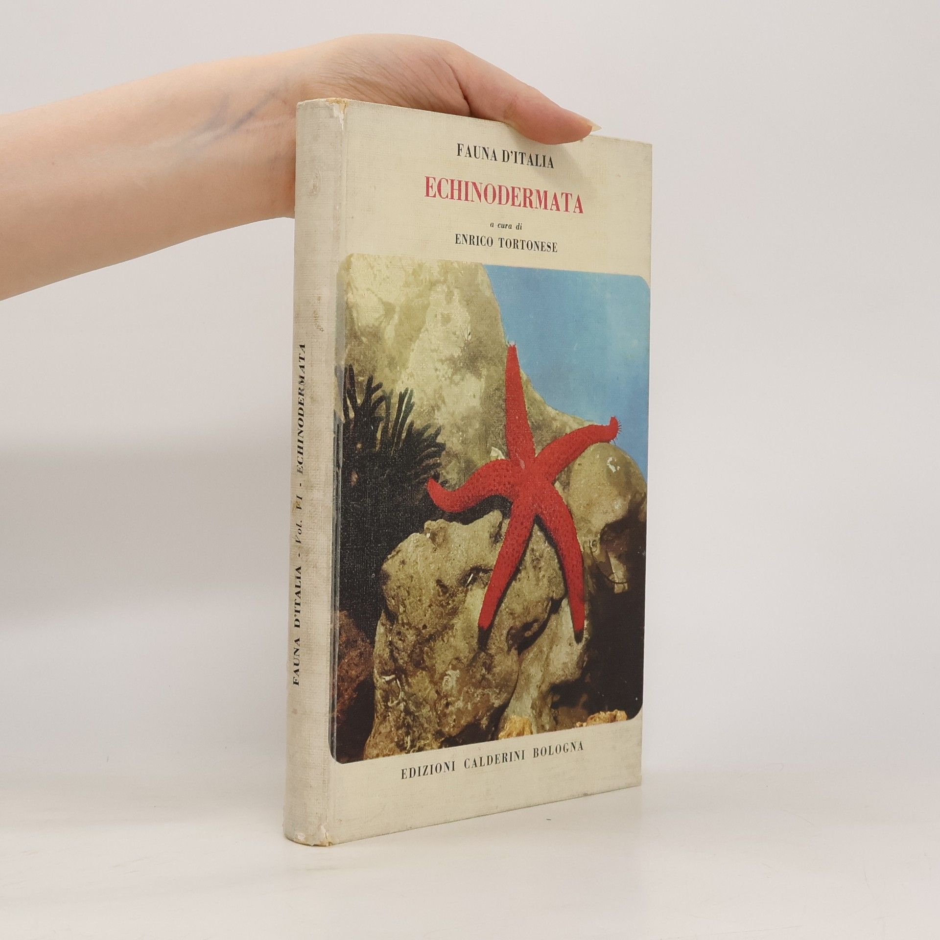Fauna d´Italia. Echinodermata
