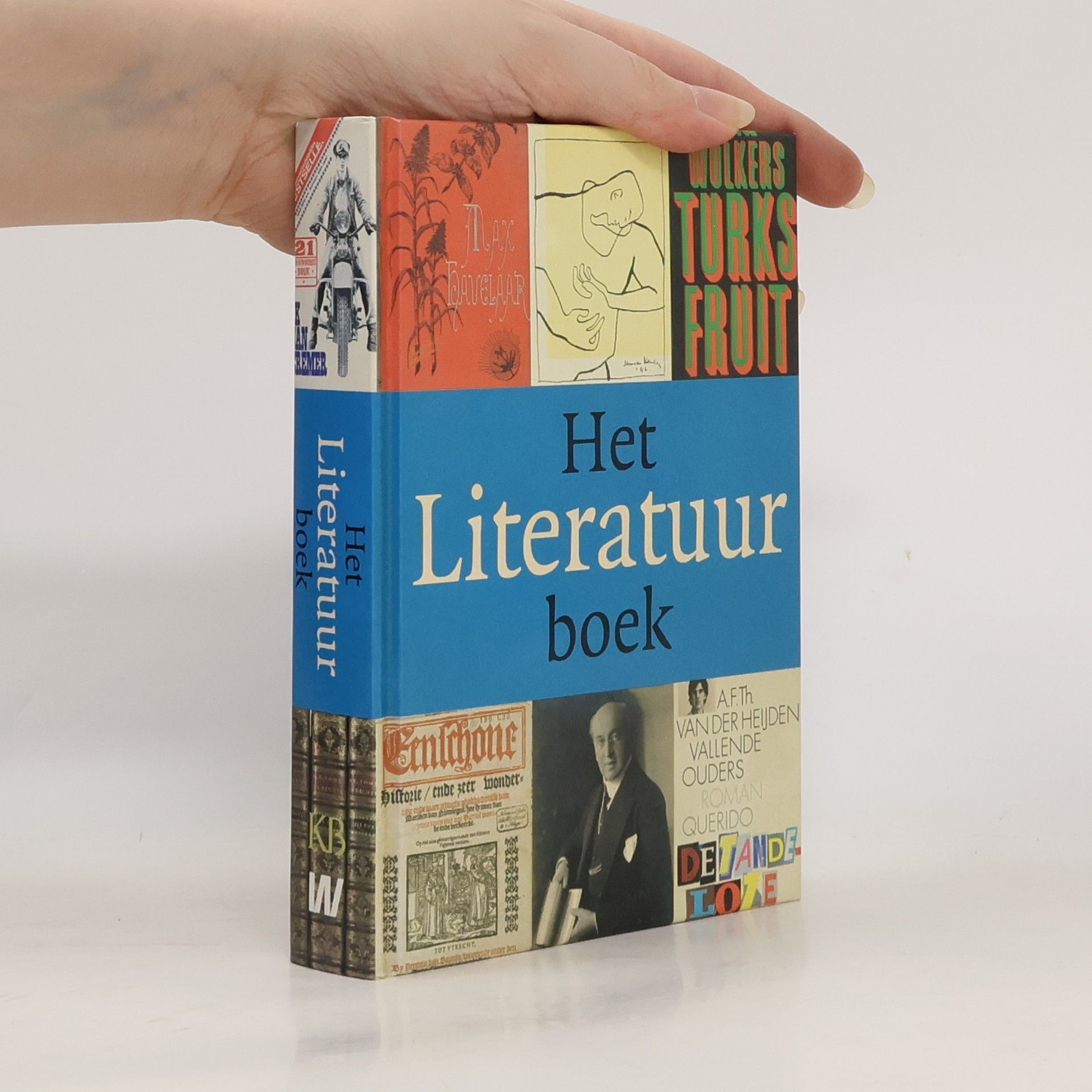 Reinder Storms Het Literatuurboek