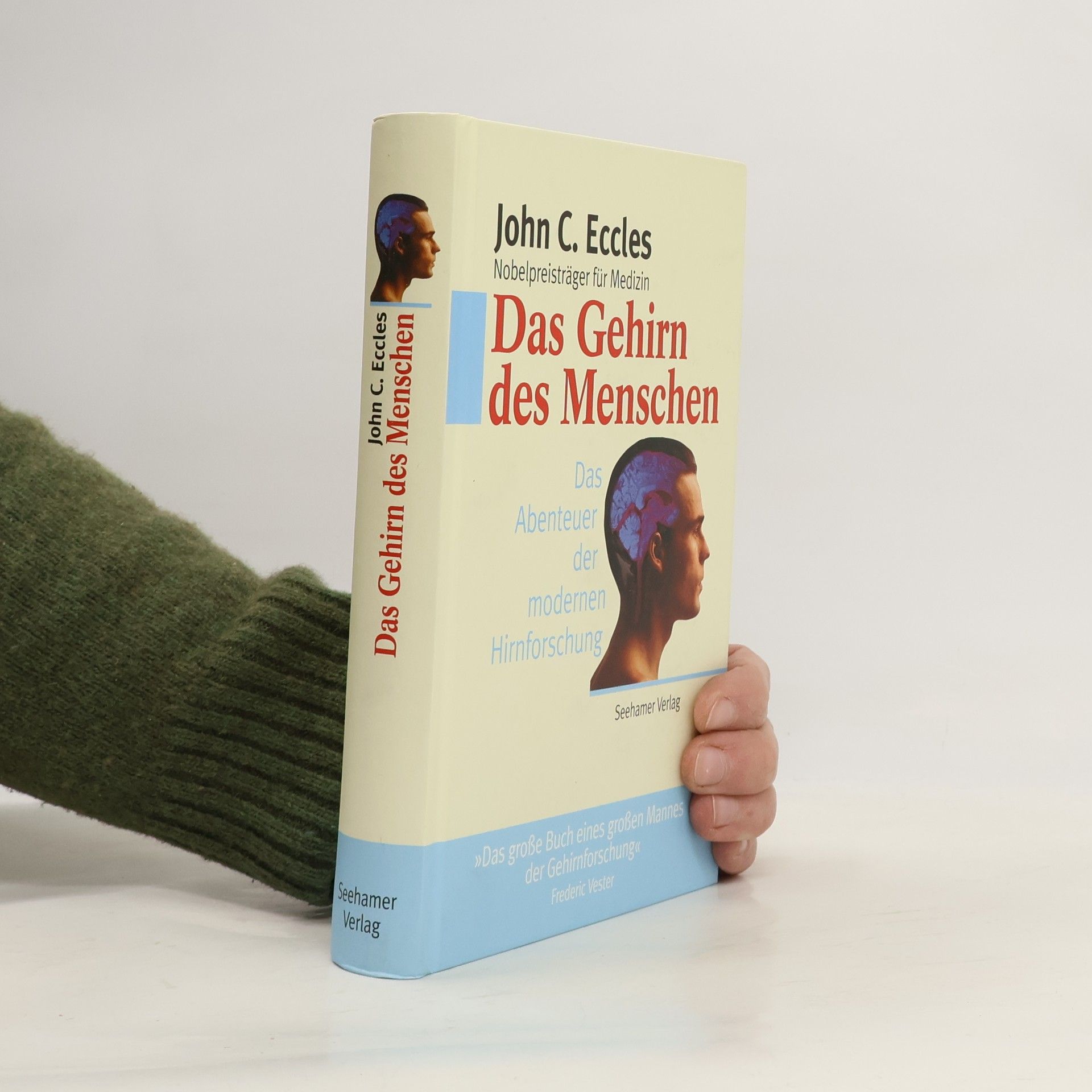 Das Gehirn des Menschen