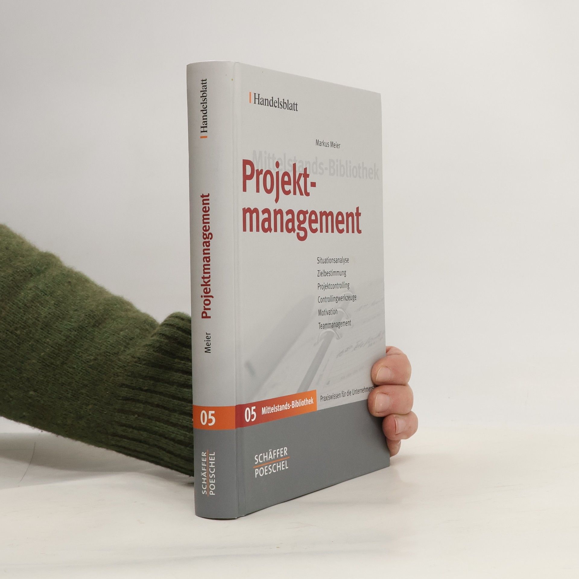 Markus Meier Projektmanagement
