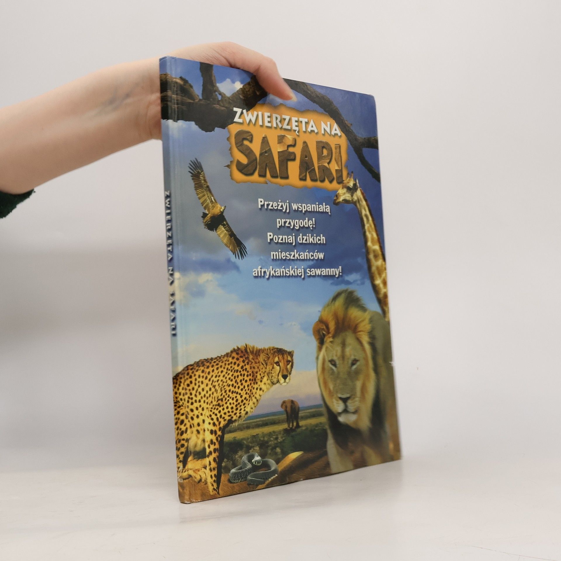 Collectif d'auteurs Zwierzęta na safari