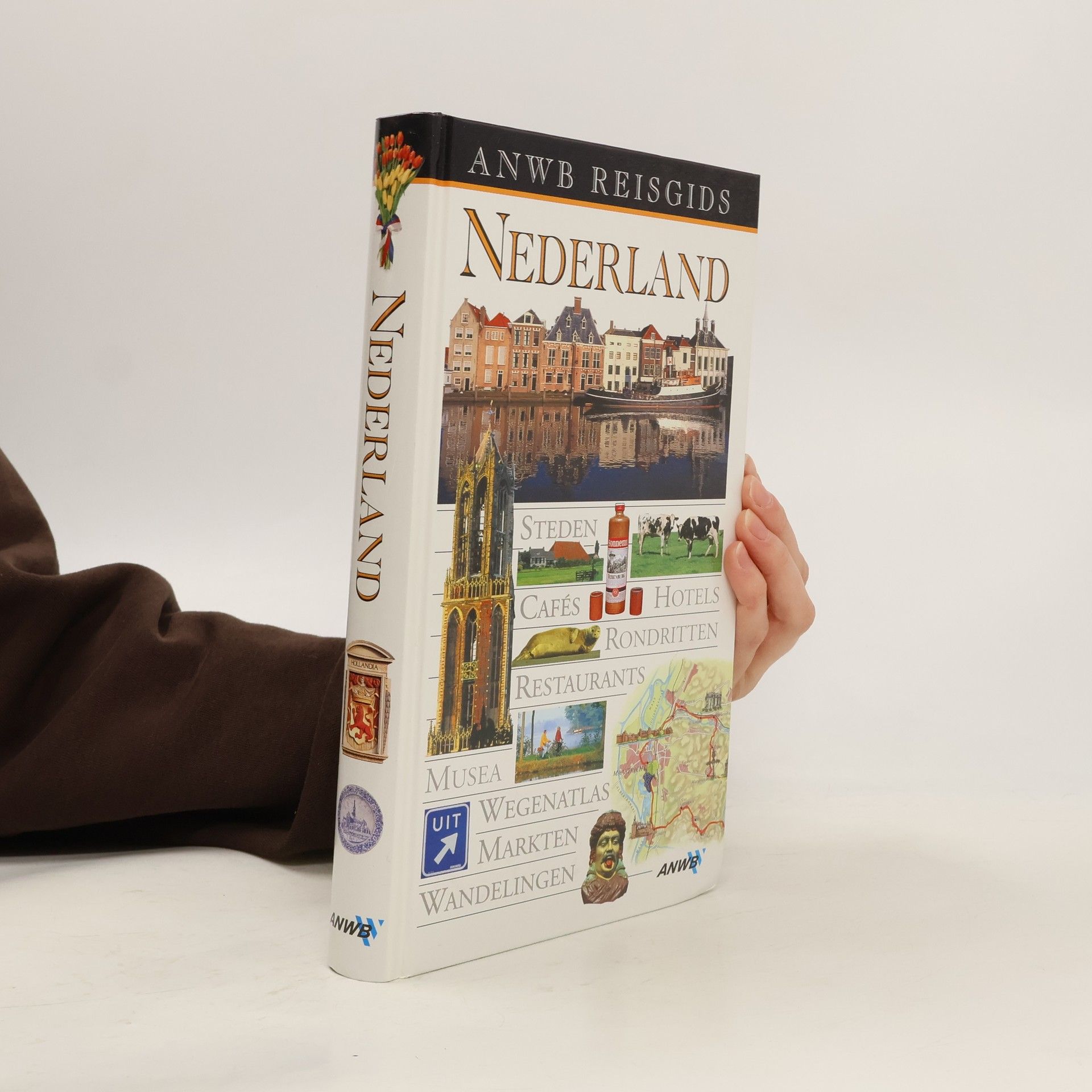 Autores varios ANWB Reisgids. Nederland