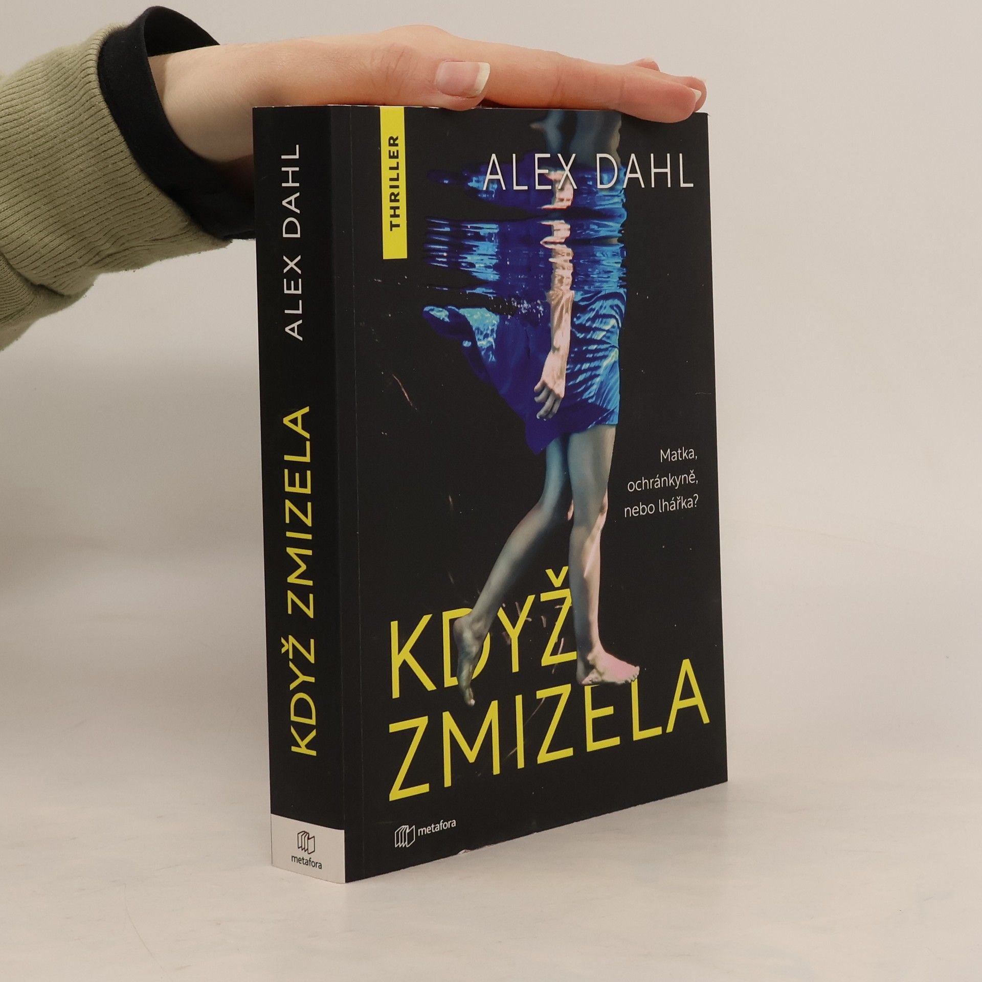 Alex Dahl Když zmizela