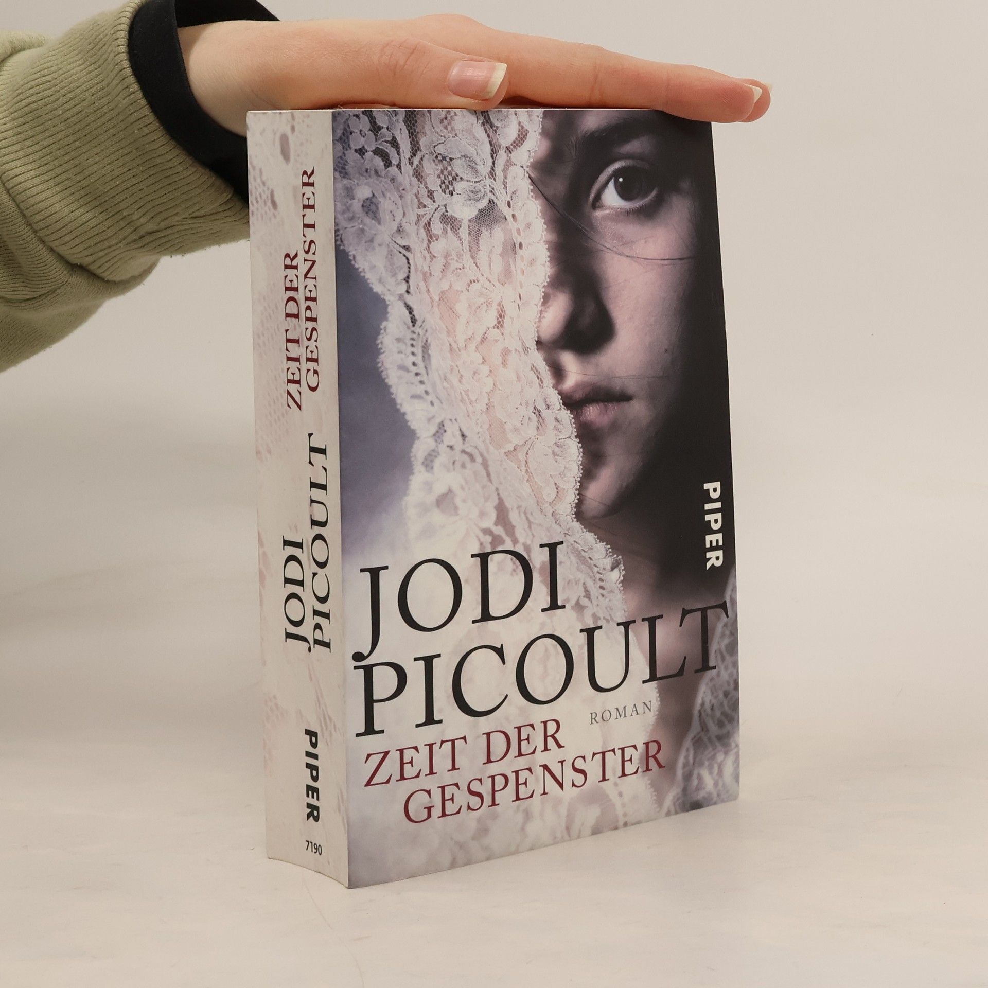 Jodi Picoult Zeit der Gespenster