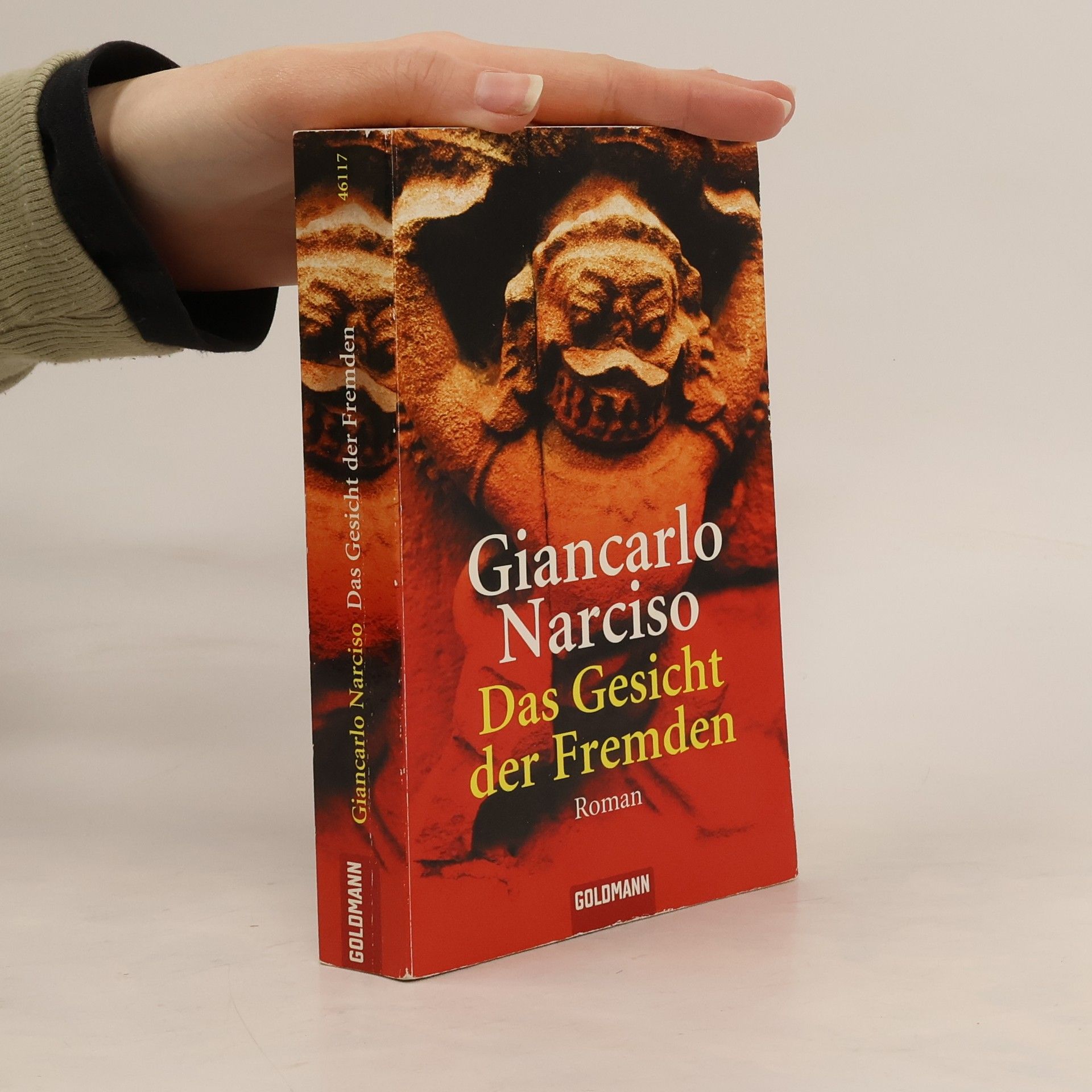 Giancarlo Narciso Das Gesicht der Fremden