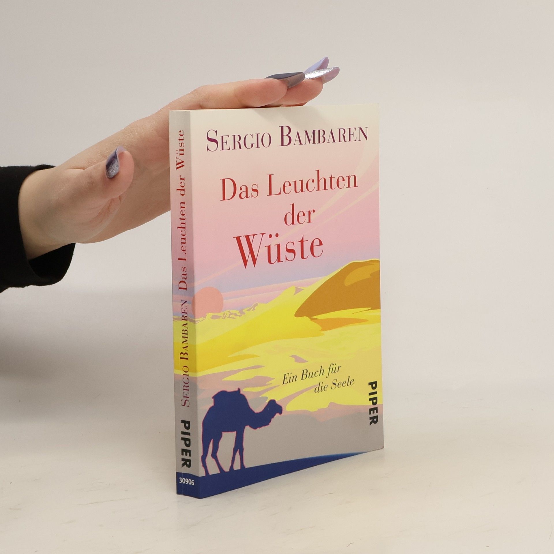 Sergio Bambaren Das Leuchten der Wüste