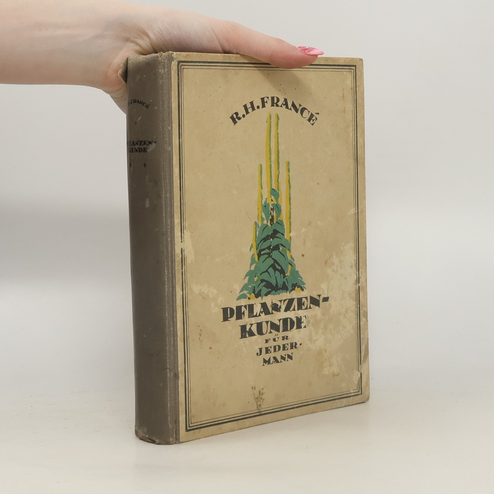 Raoul Heinrich Francé Pflanzenkunde für Jedermann