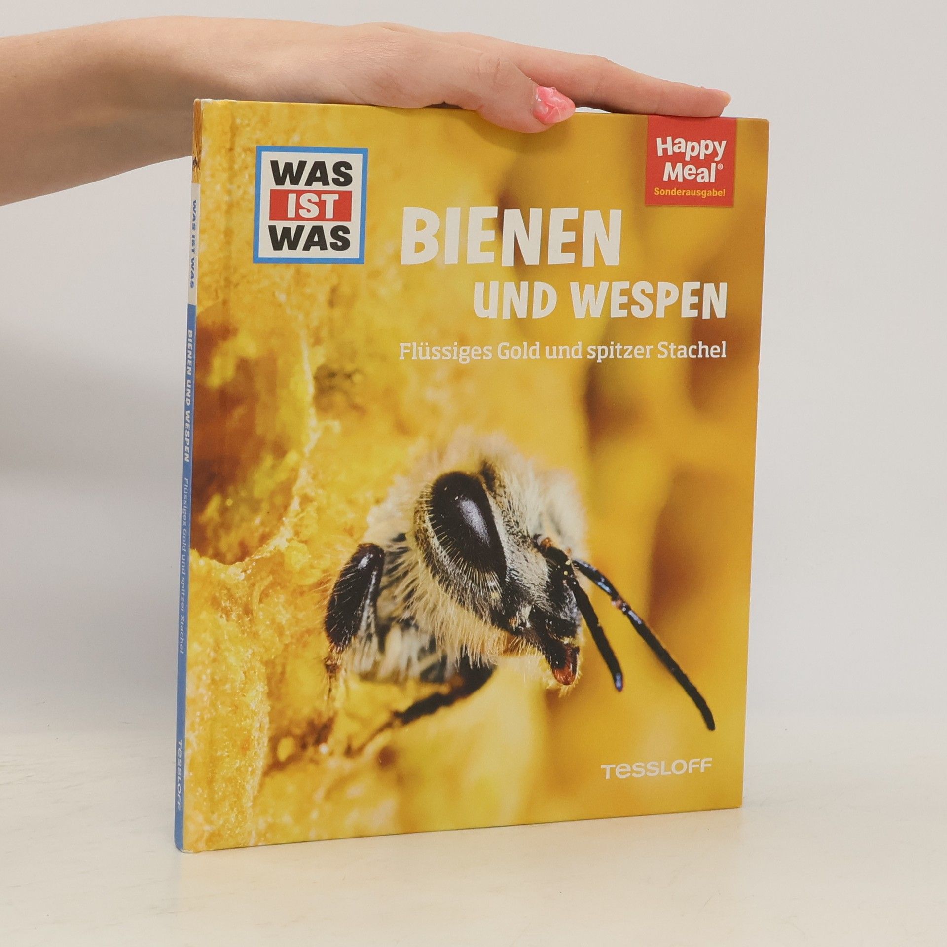 Manfred Baur Dinosaurier