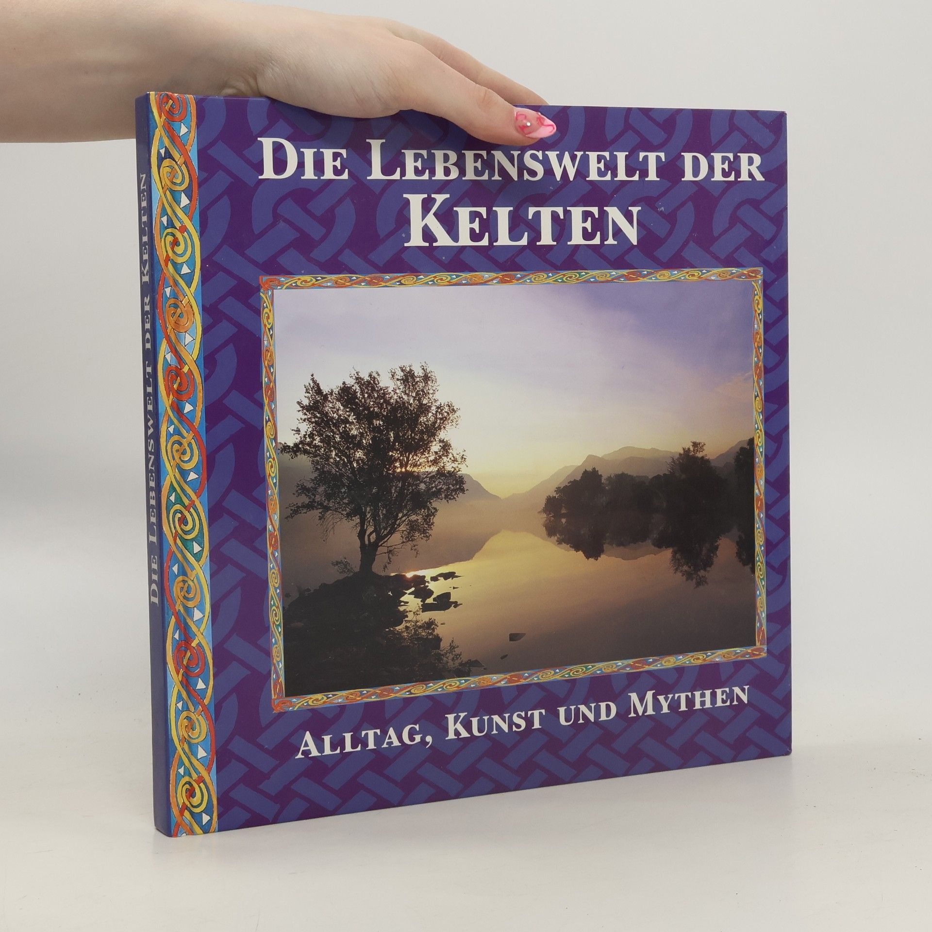 Juliette Wood Die Lebenswelt der Kelten