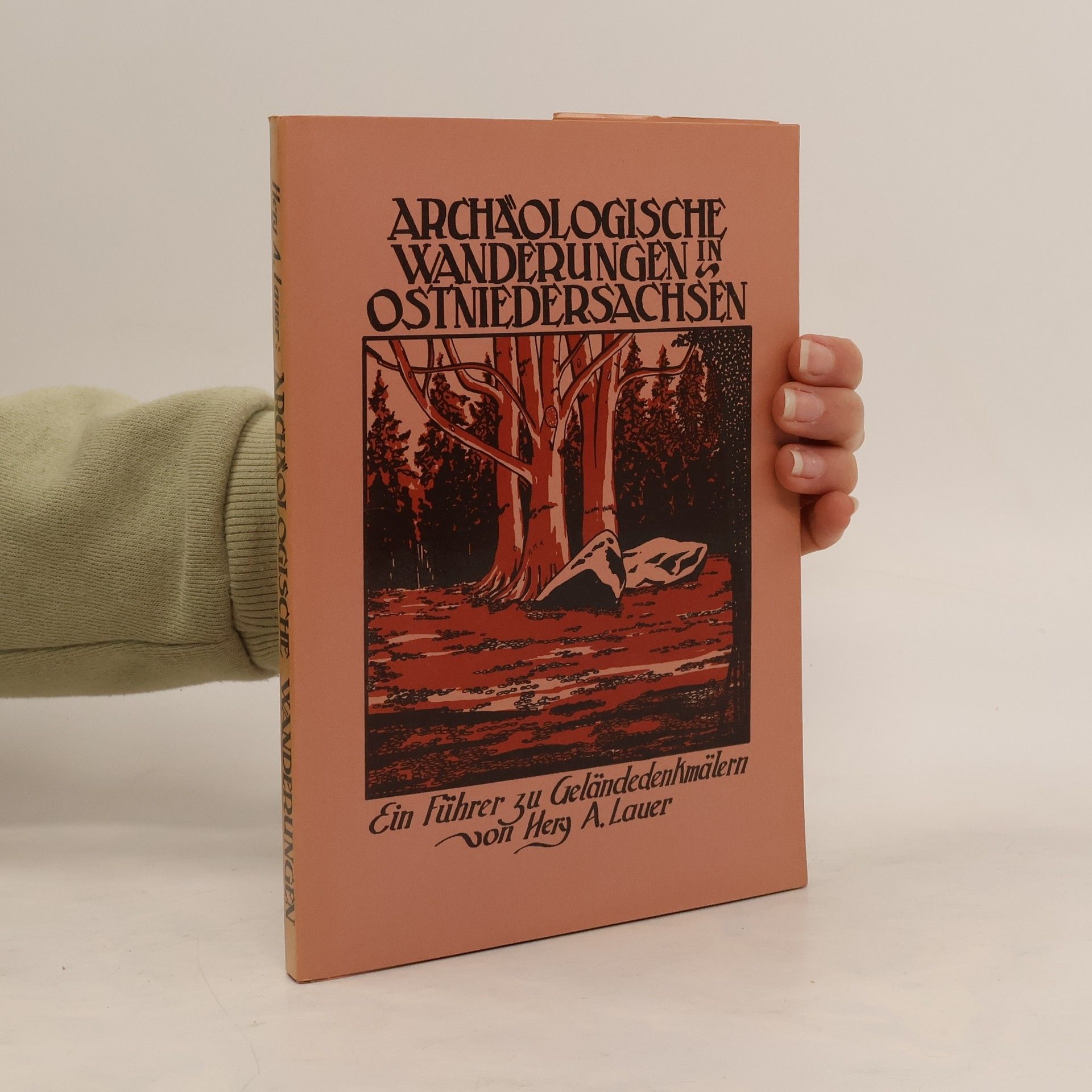 Hery A Lauer Archäologische Wanderungen in Ostniedersachsen