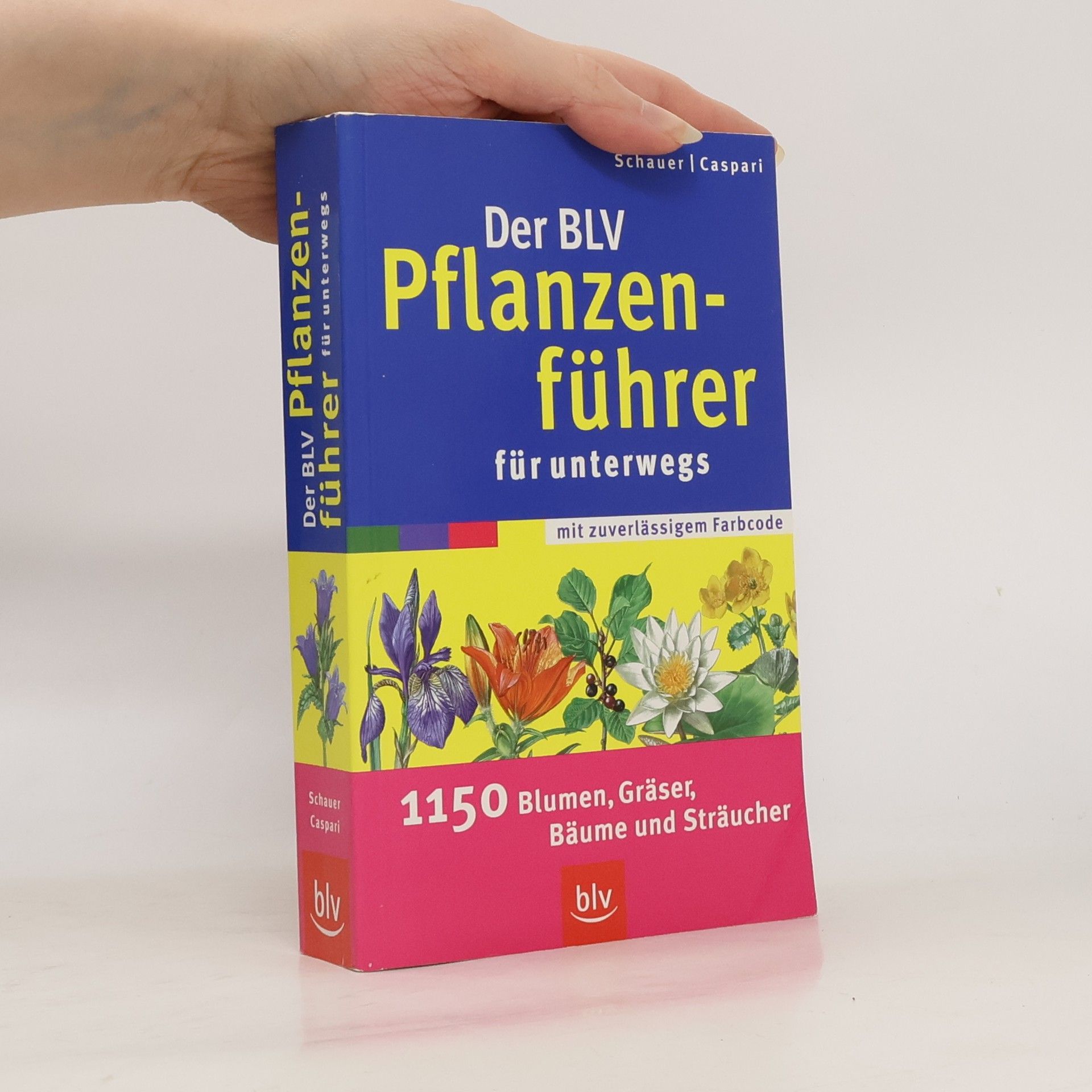 Schauer Der BLV Pflanzenführer für unterwegs