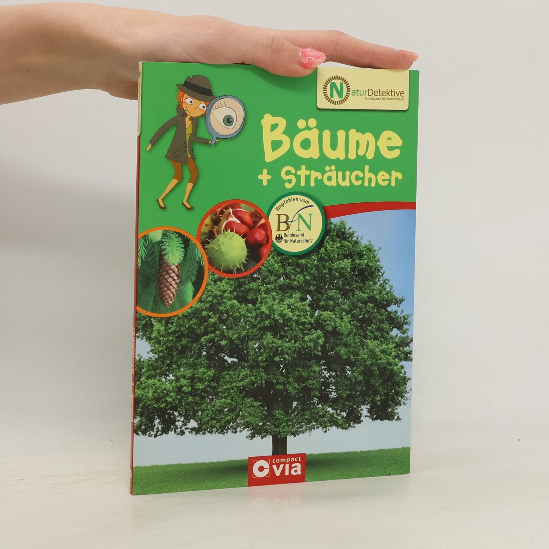 Birgit Kuhn Bäume + Sträucher