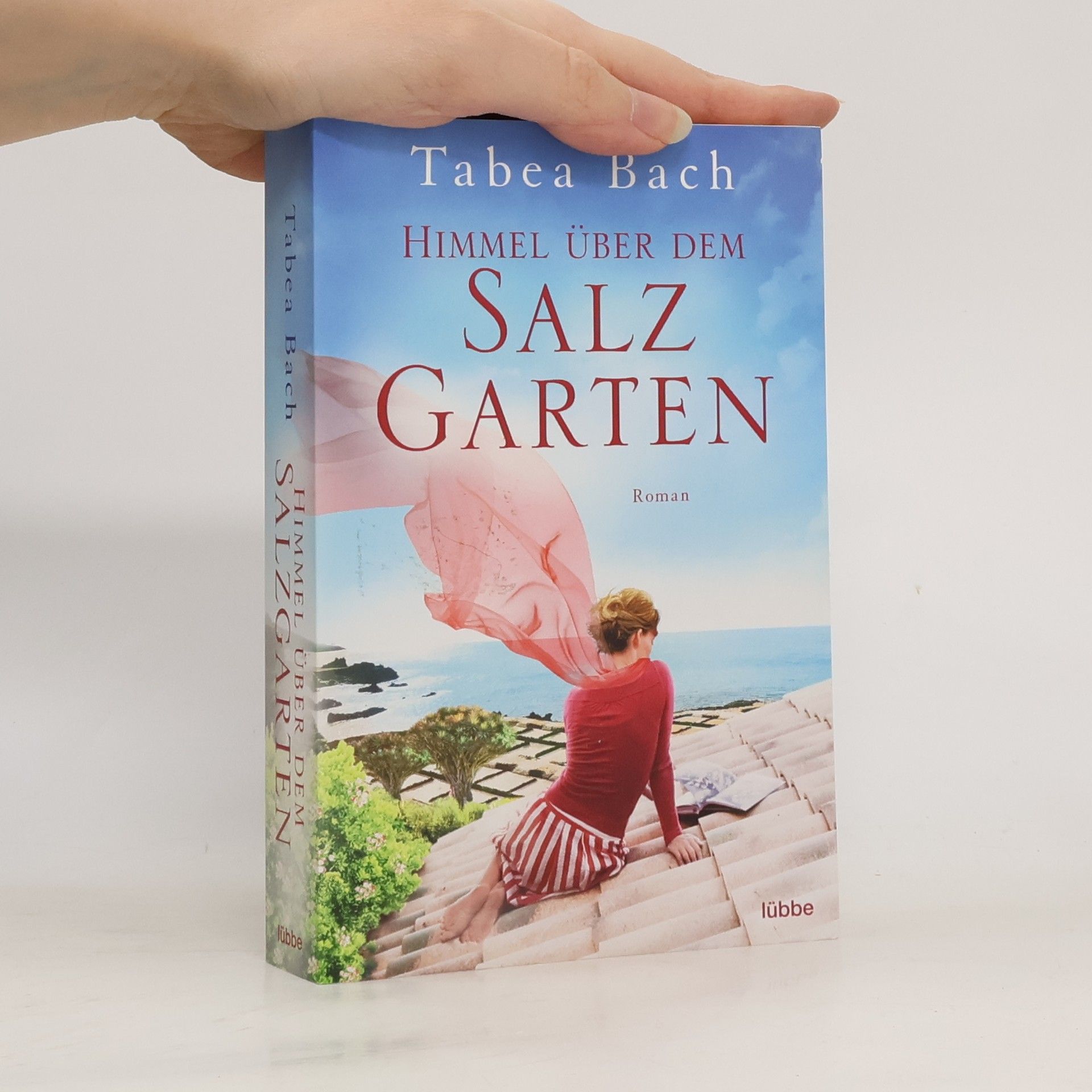 Tabea Bach Himmel über dem Salzgarten