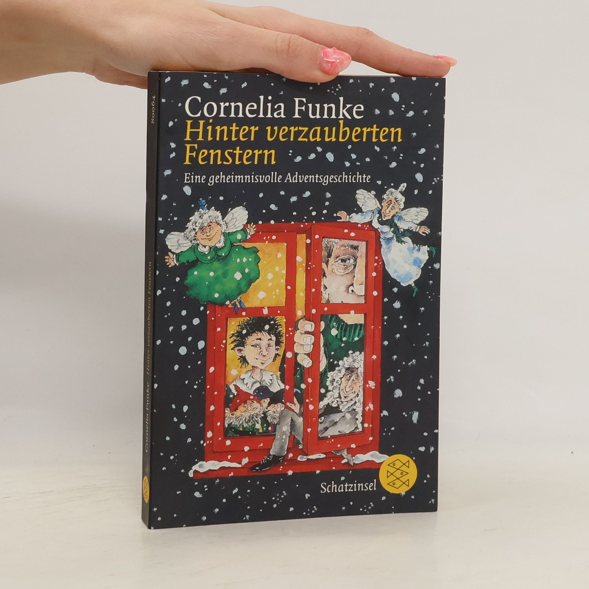 Cornelia Funke Hinter verzauberten Fenstern