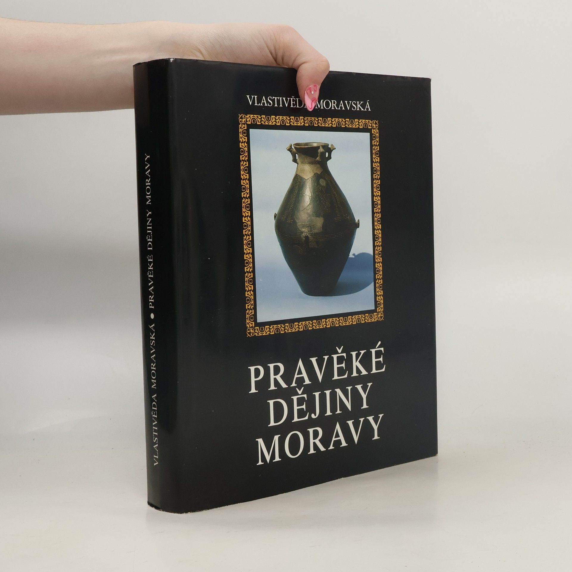 Pravěké dějiny Moravy, Nová řada - Sv. 3