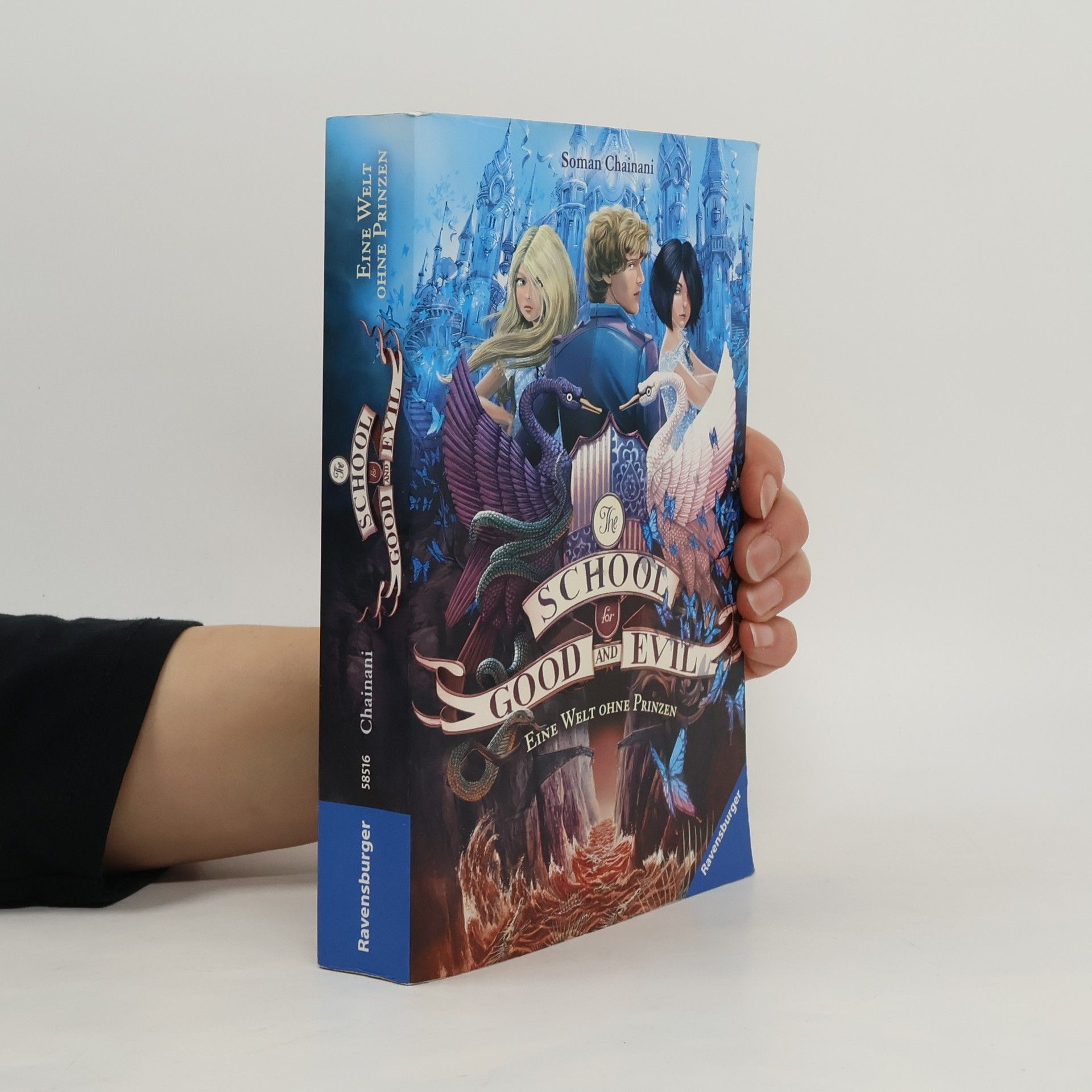 Soman Chainani Eine Welt ohne Prinzen